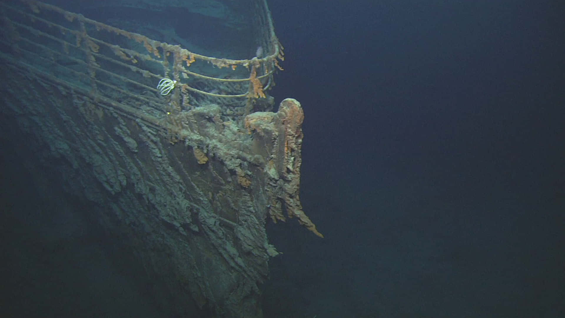 在黑暗的海洋深處，佈滿海洋生物的生鏽沉船船頭。 — 船 GIF 壁紙