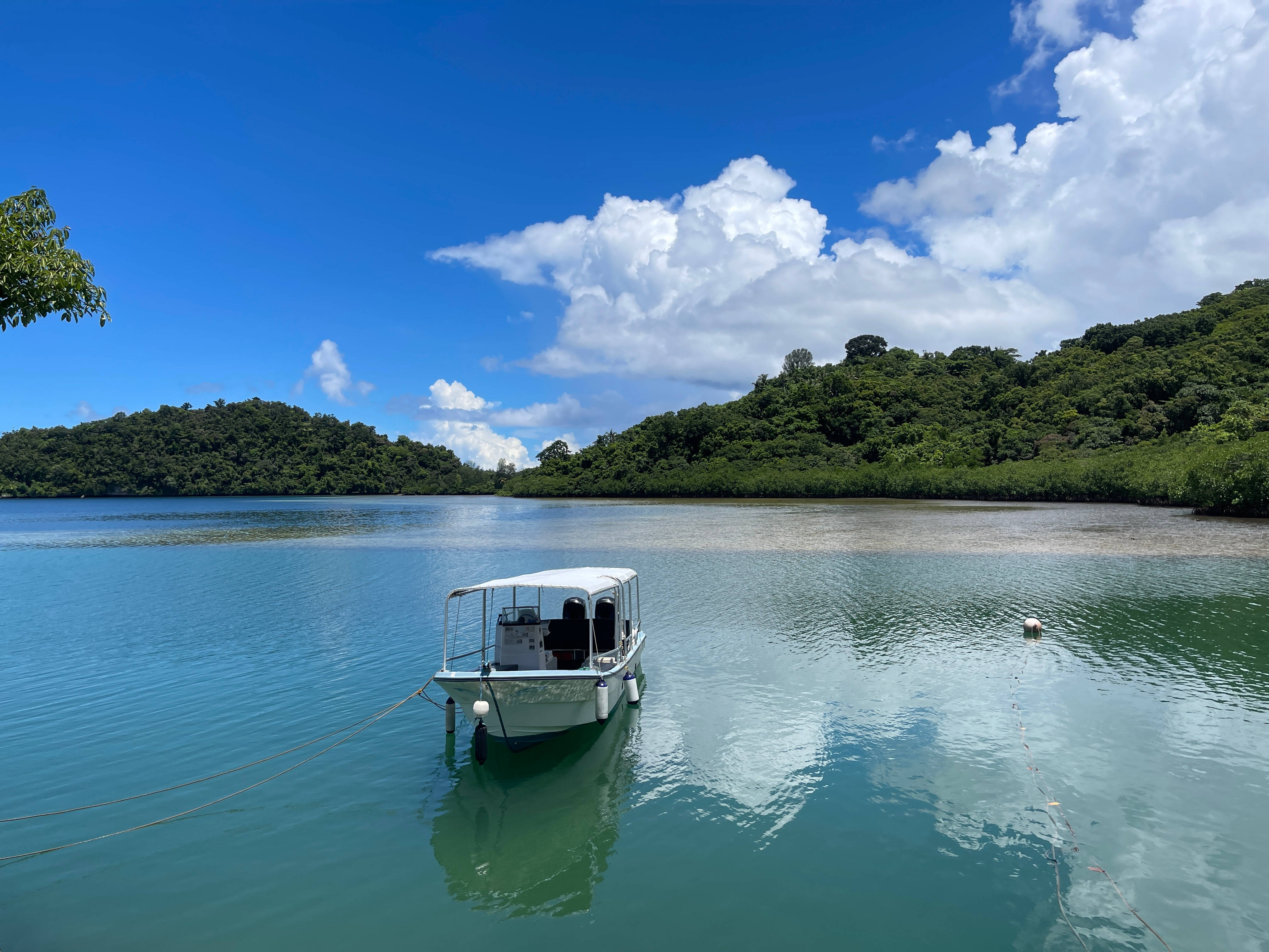 Palau 桌布 壁紙 — 一艘白色小船在碧綠色的海面上平靜漂浮，背景是明亮的藍天、蓬鬆的白雲和鬱鬱蔥蔥的綠色山丘。
