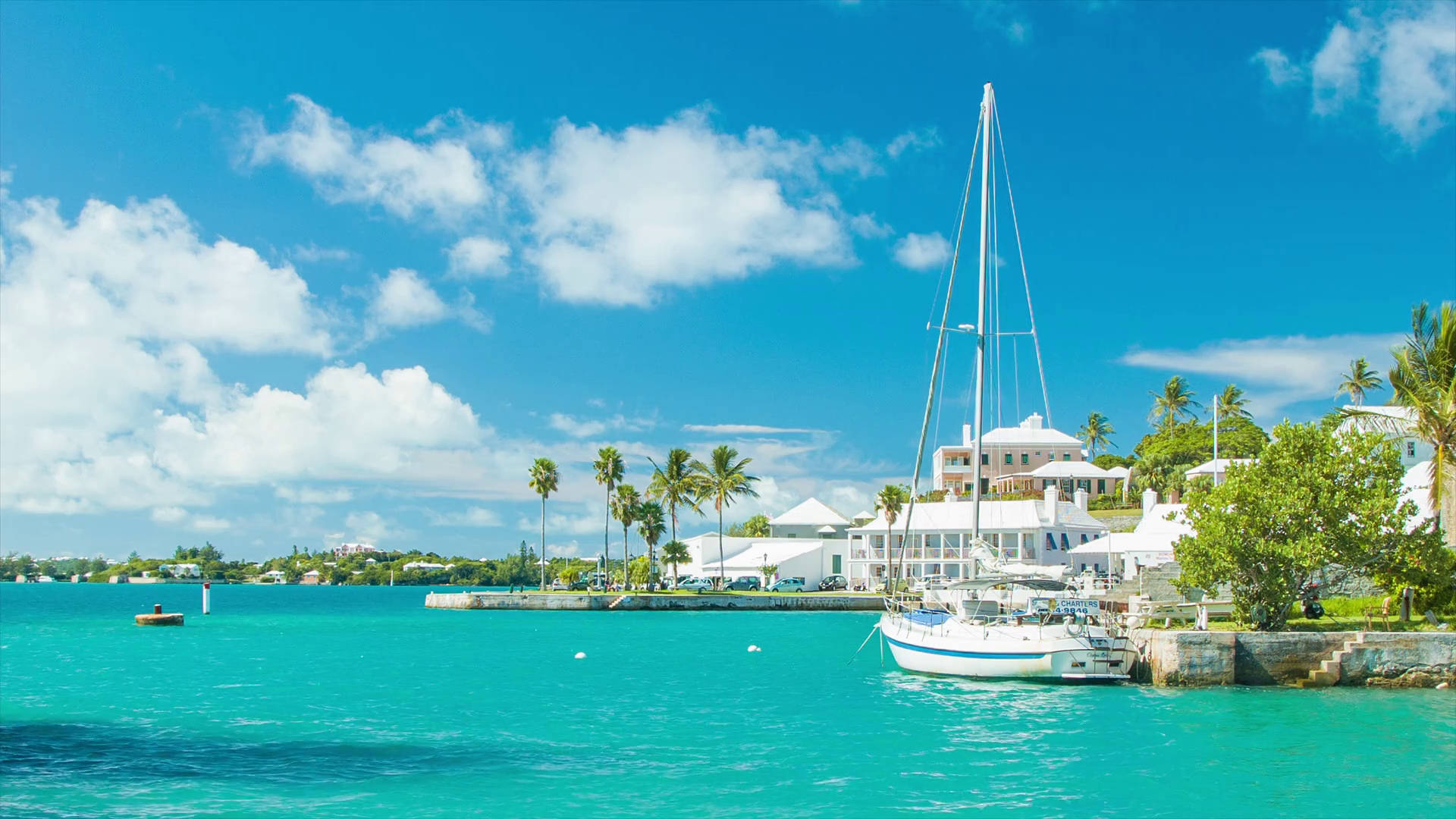 Bermuda 桌布 壁紙 — 一艘白色帆船停泊在充滿活力的藍綠色水域中，旁邊是一個熱帶海濱度假勝地，有棕櫚樹和白色遮陽傘，在明亮的藍天下。