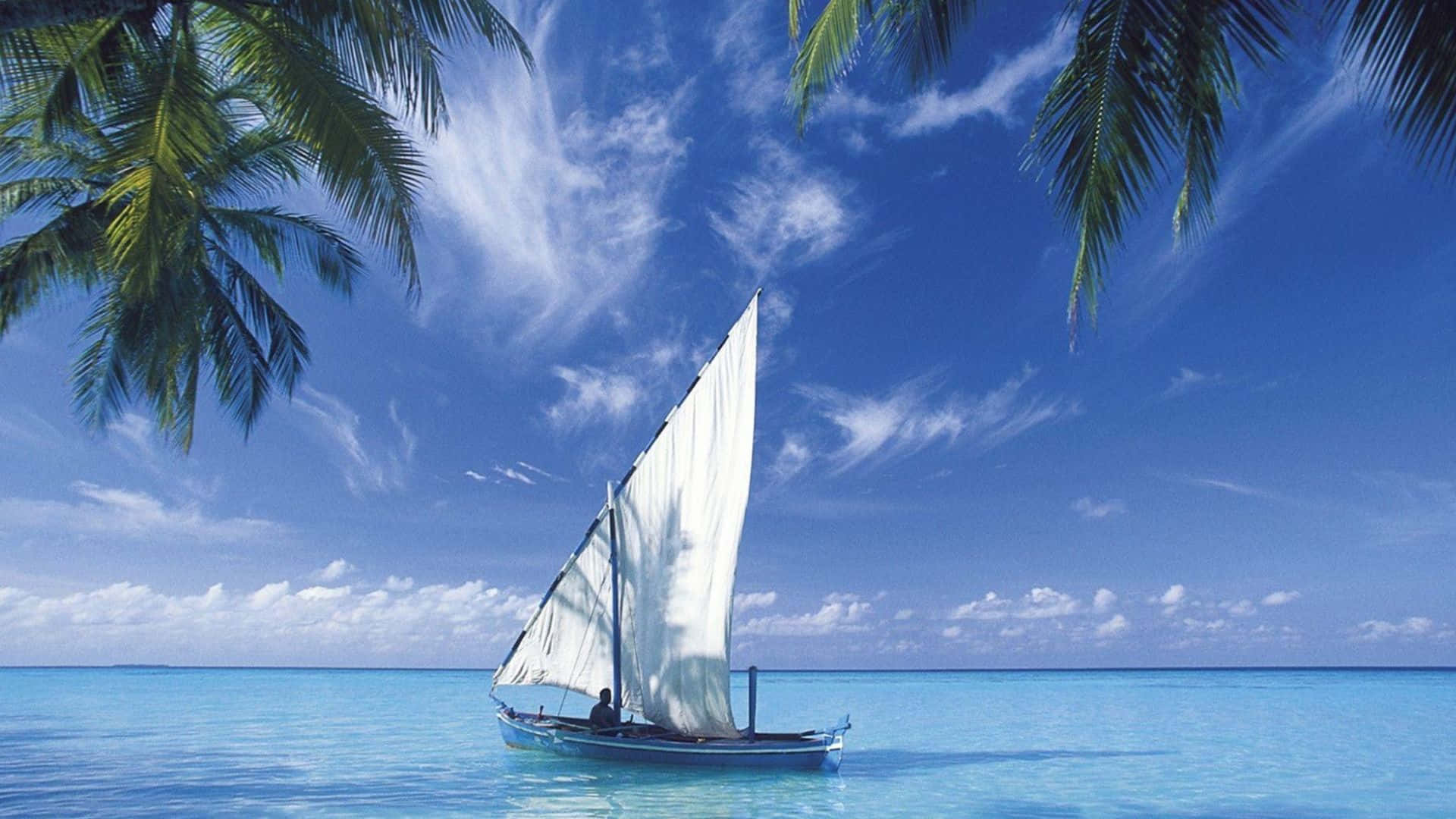 Beautiful Ocean 桌布 壁紙 — 一艘白色帆船在碧綠的海水上滑行，上方是鮮豔的藍天，四周環繞著茂密的綠色棕櫚葉。