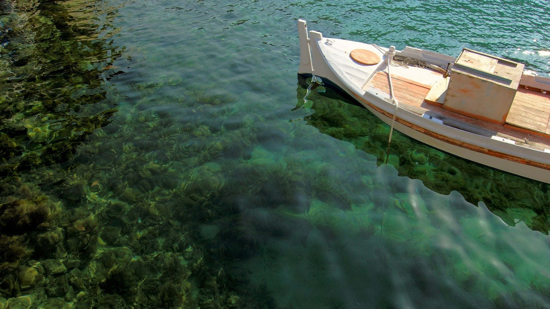 Boating 桌布 壁紙 — 一艘白色木船漂浮在清澈見底的碧綠海水上，露出鮮豔的綠色水下岩石和植物。