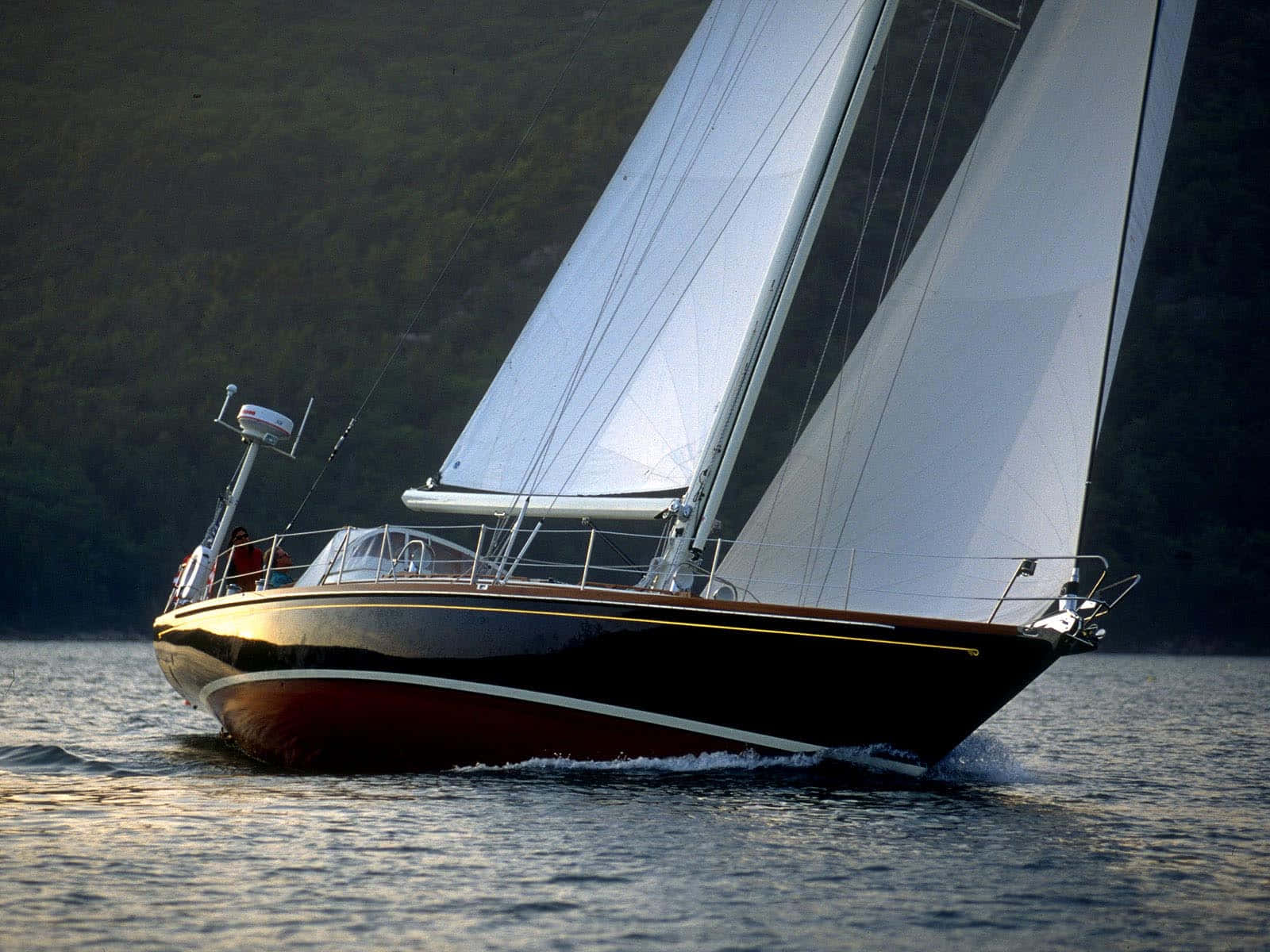 Sailboat 桌布 壁紙 — 一艘線條流暢的白色帆船在金色時光中，沿著森林覆蓋的海岸線在平靜的水面上滑行。