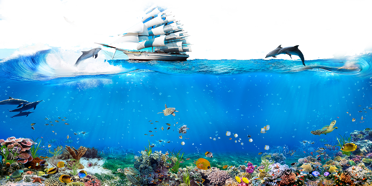 水下動畫 桌布 壁紙 — 一艘雄偉的帆船在充滿魚類和海豚在陽光普照的藍色海水中跳躍的 vibrant 珊瑚礁上乘風破浪。