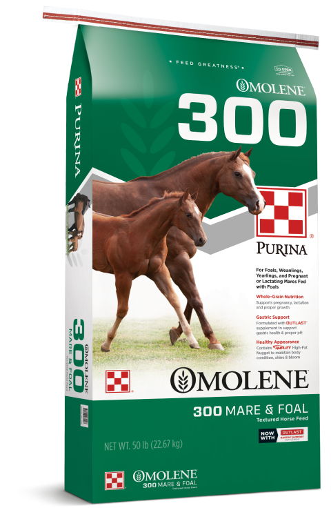 馬 桌布 壁紙 — 一袋綠色的Purina Omolene 300馬飼料，包裝上有一匹母馬和一匹小馬在草地上奔跑。