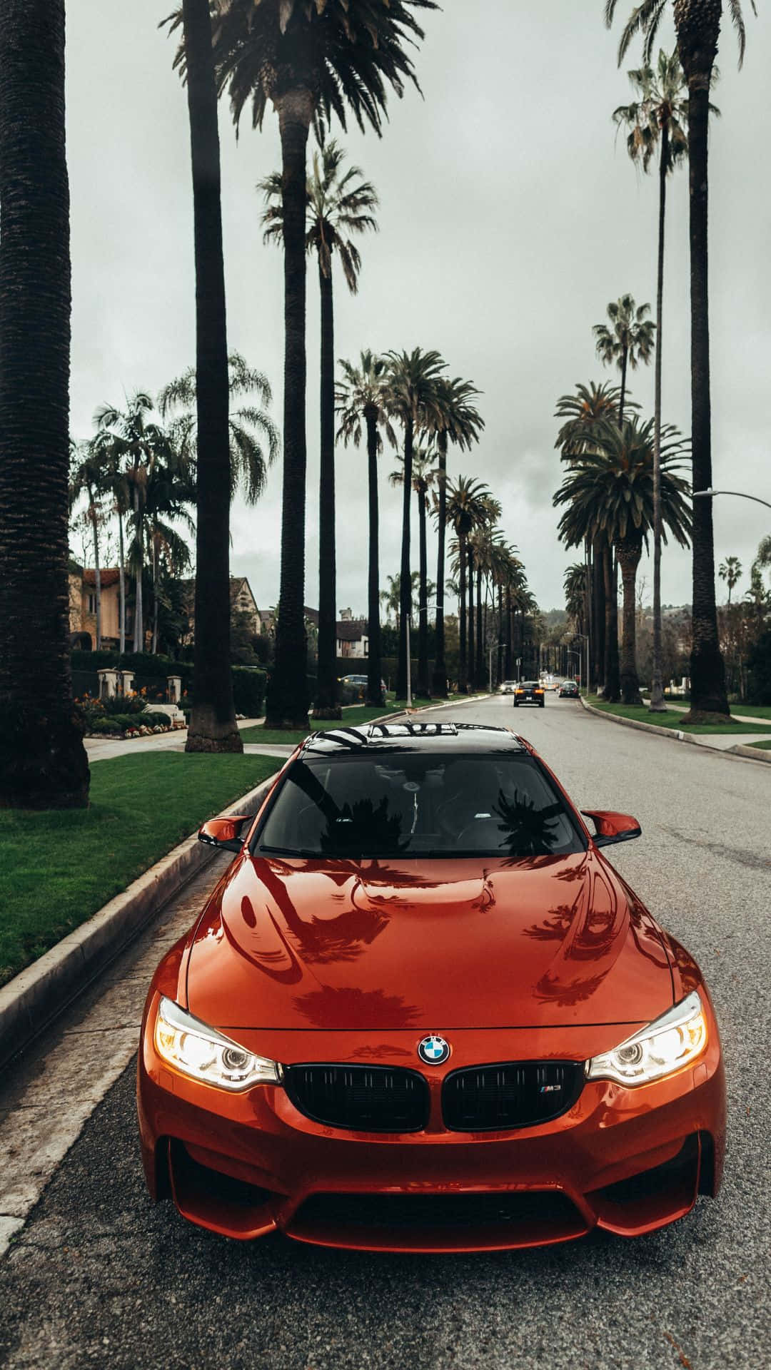 Android Bmw 桌布 壁紙 — 一輛亮橙色的BMW M4停放在棕櫚樹成排的街道上，天空多雲。