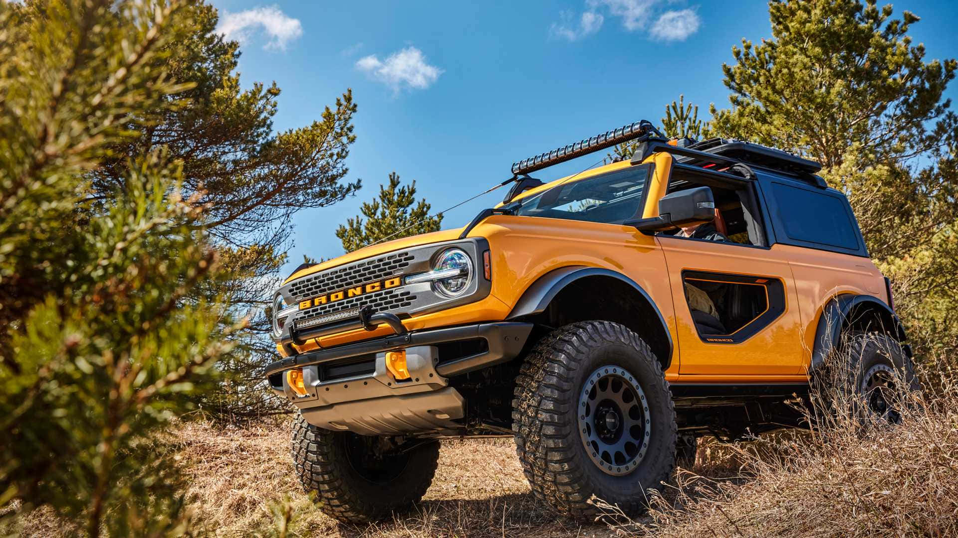 Ford Bronco 桌布 壁紙 — 一輛亮橙色的福特Bronco SUV，配備堅固輪胎和車頂行李架，在晴朗藍天下，站在松樹間的乾草上。