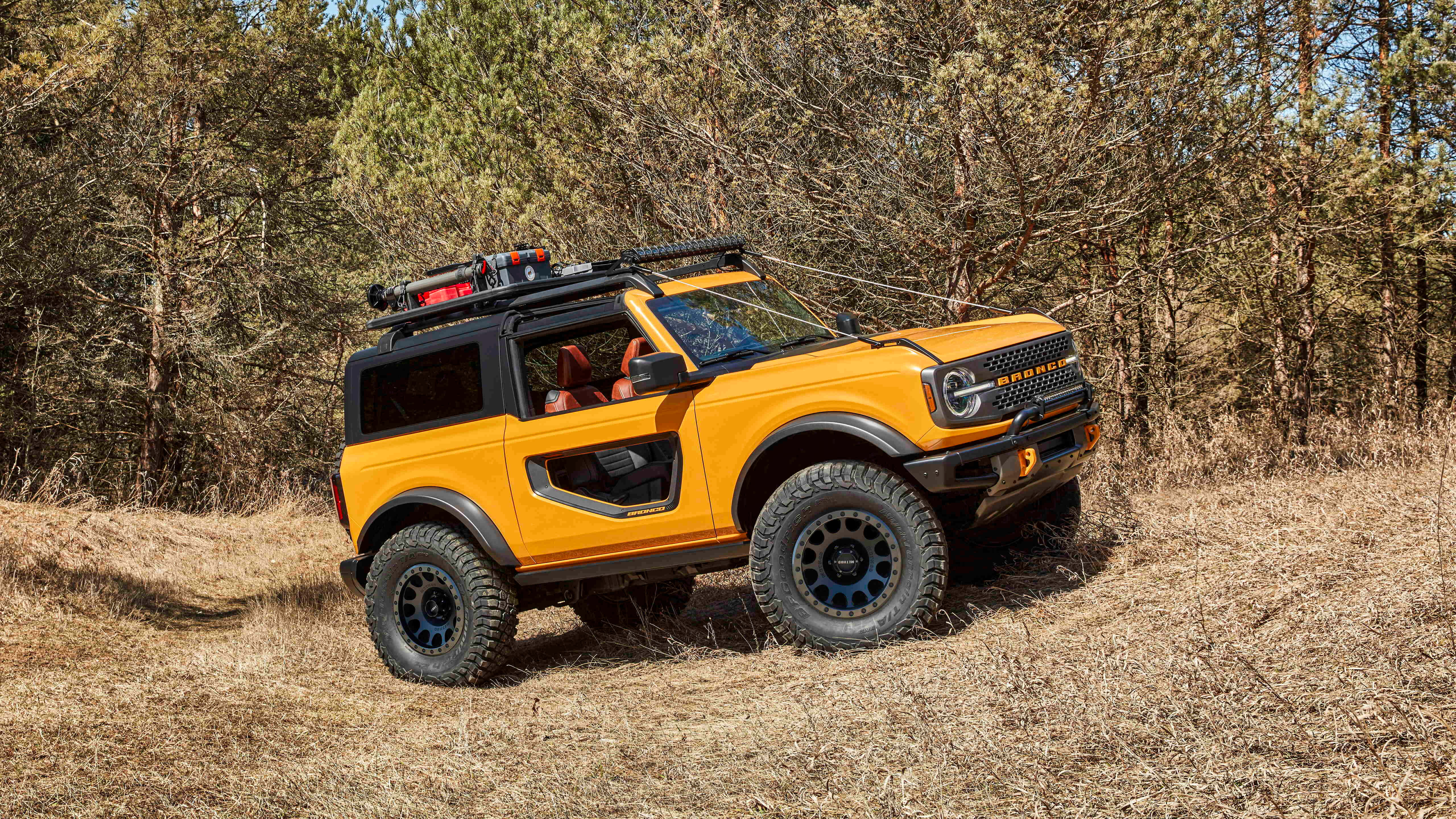 Ford Bronco 桌布 壁紙 — 一輛亮橙色的福特Bronco，帶有黑色飾邊和車頂行李架，停放在晴朗天空下的森林地區乾草地上。