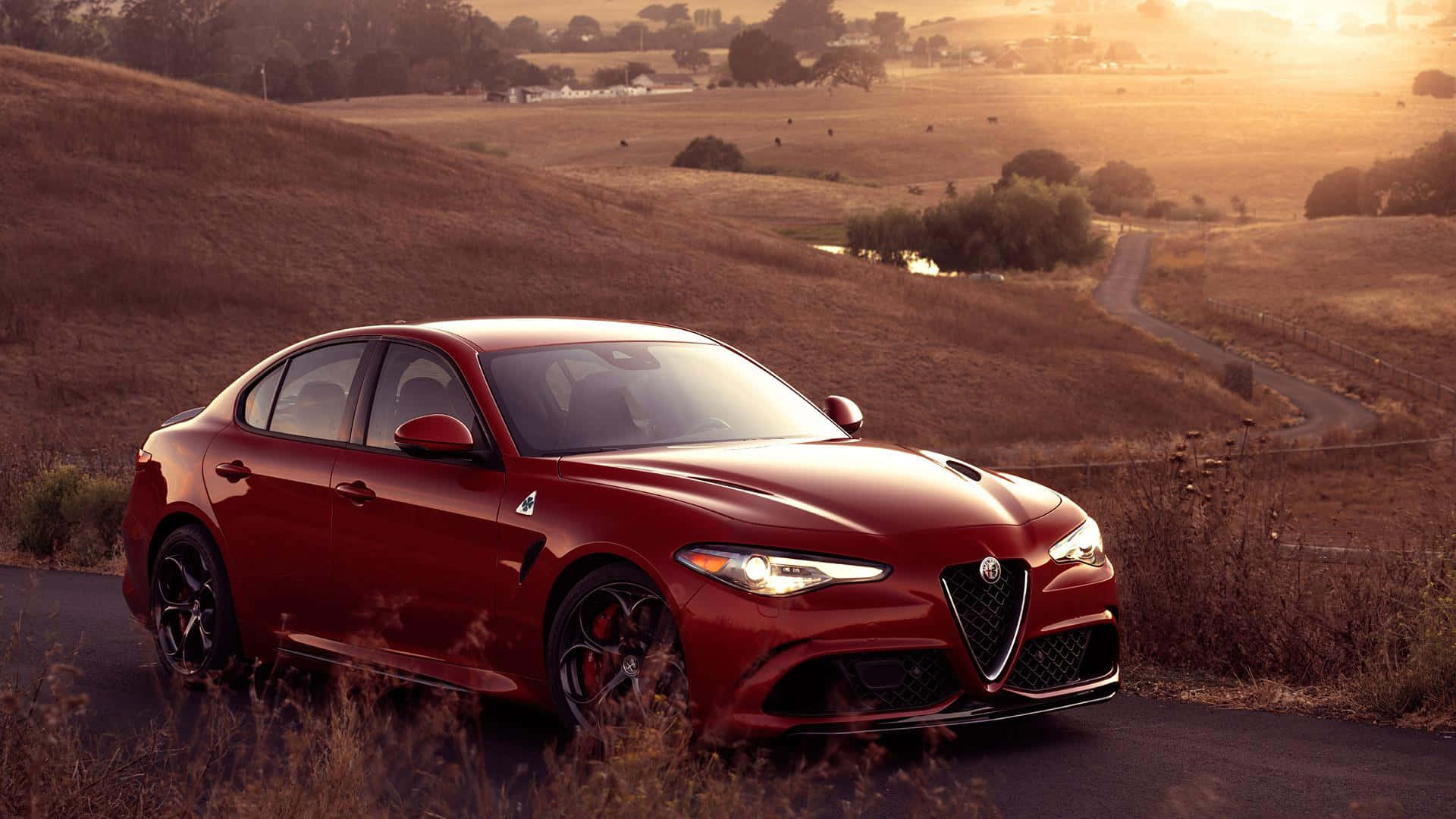 Alfa Romeo Giulia 桌布 壁紙 — 一輛亮紅色的Alfa Romeo轎車停泊在蜿蜒的鄉村道路上，背景是金色日落、起伏的山丘和乾草。