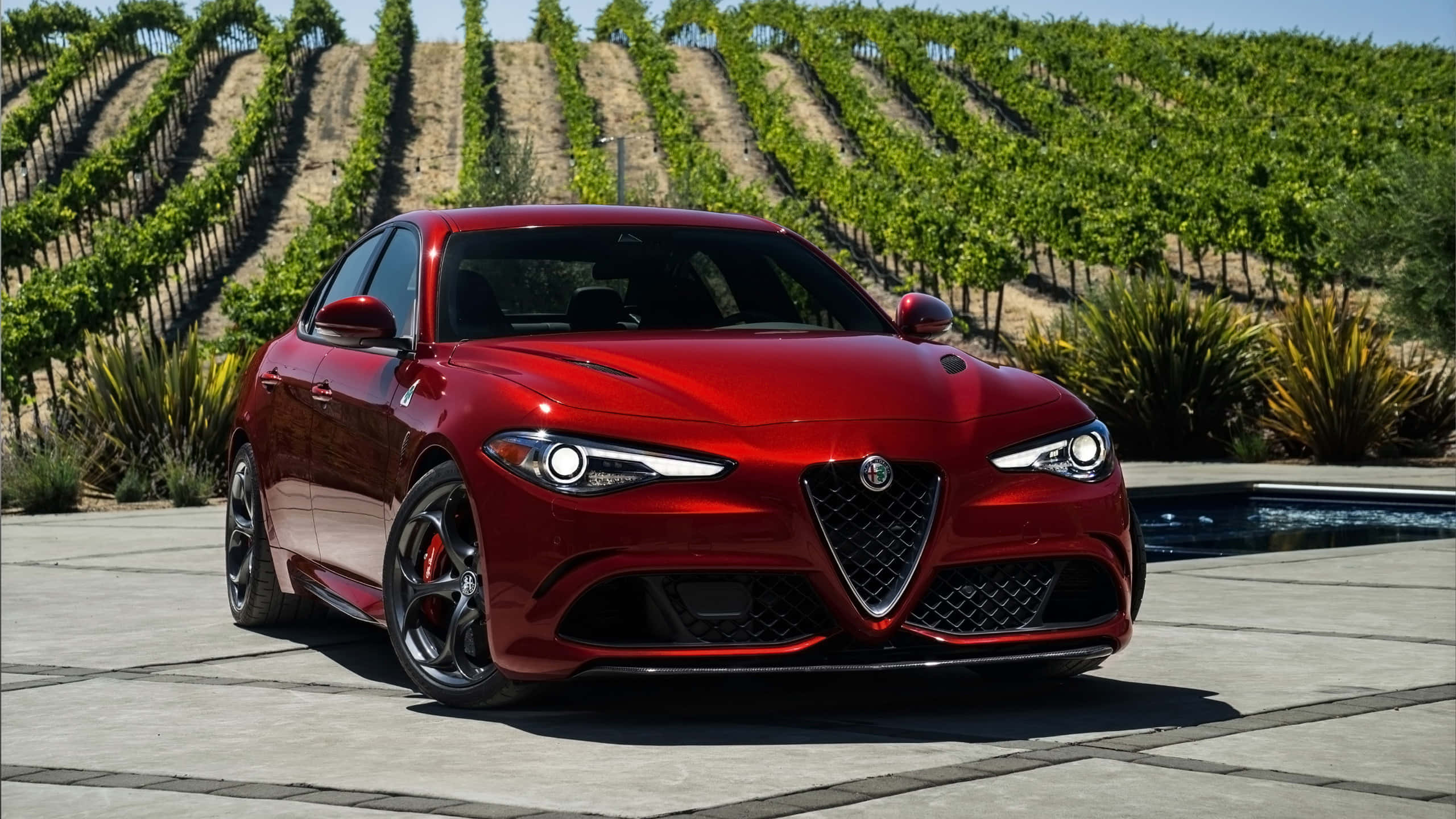 Alfa Romeo Giulia 桌布 壁紙 — 一輛亮紅色的Alfa Romeo跑車停放在石頭露台上，旁邊是游泳池，背後是梯田葡萄園，在明亮的陽光下升起。