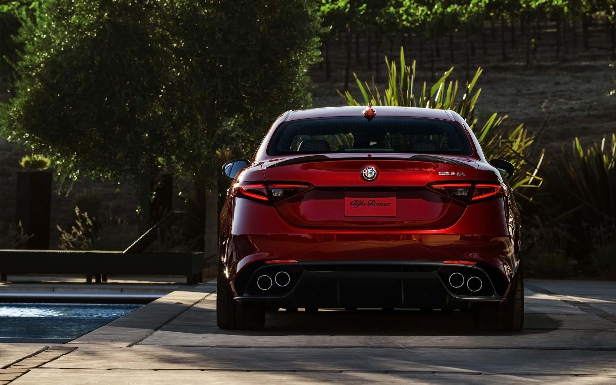Alfa Romeo Giulia 桌布 壁紙 — 一輛亮紅色的Alfa Romeo Giulia跑車停放在游泳池旁，背景有茂密的綠色植物。