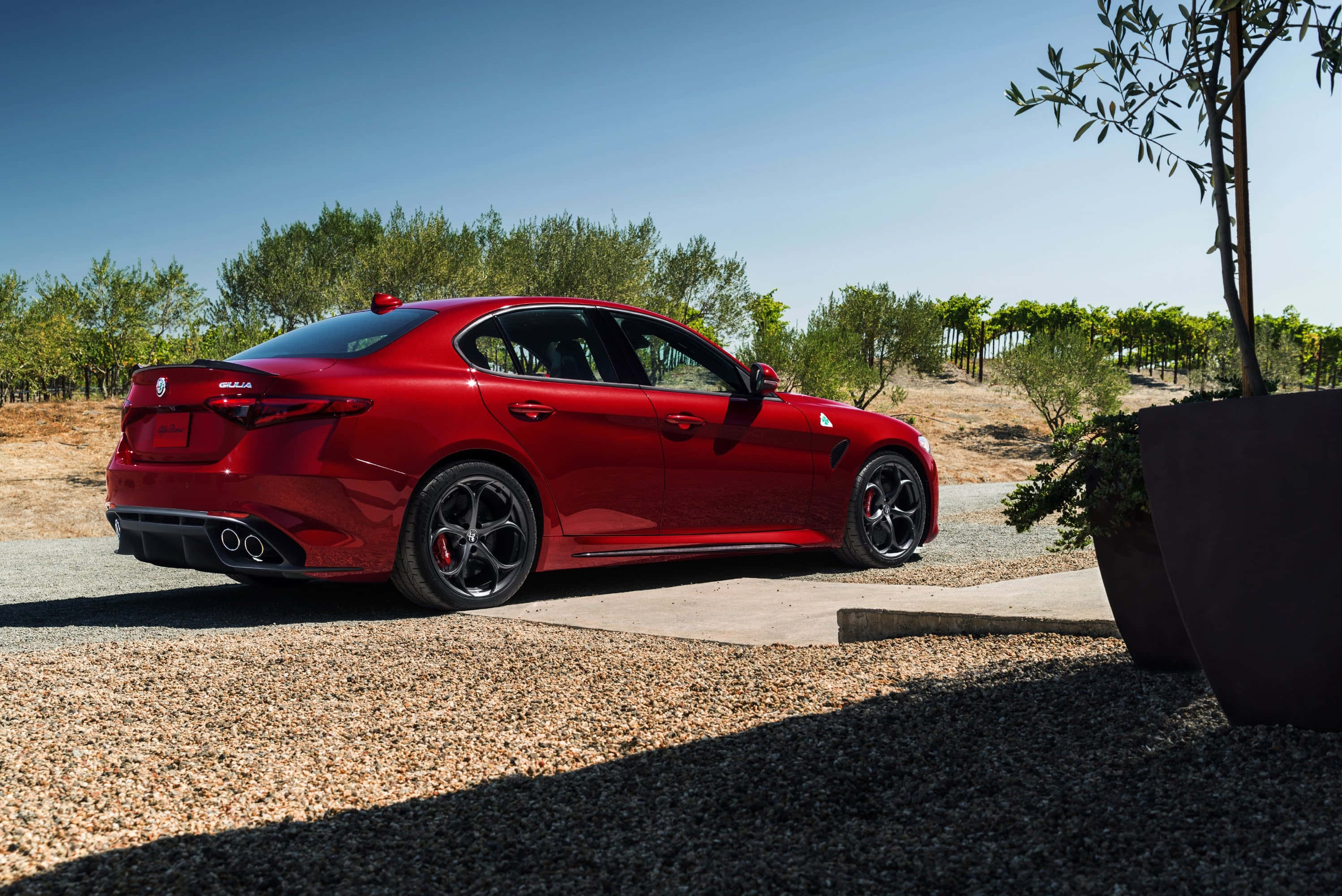 Alfa Romeo Giulia 桌布 壁紙 — 一輛亮紅色的Alfa Romeo Giulia運動轎車停在碎石路上，旁邊是葡萄園，上方是晴朗的藍天。