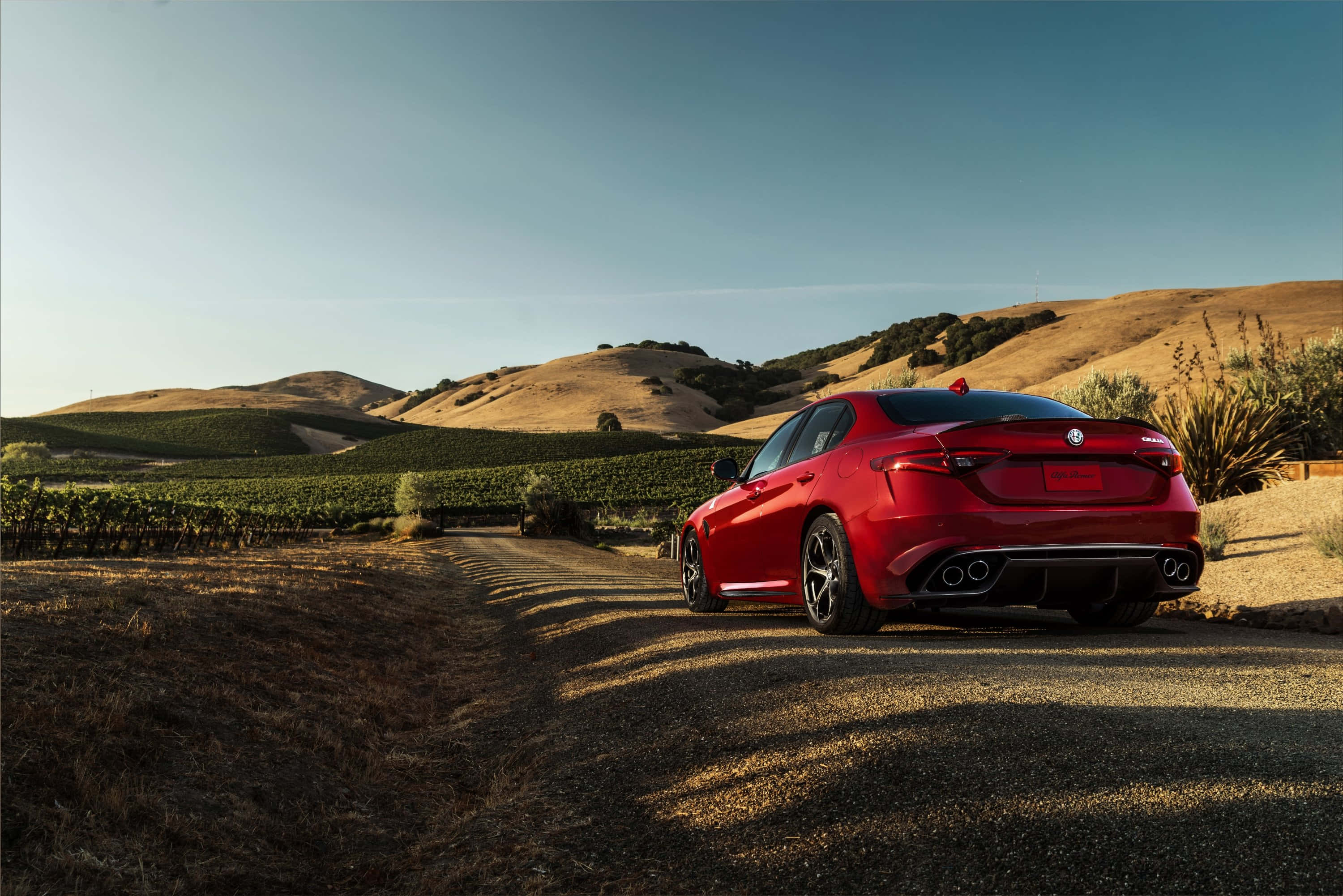 Alfa Romeo Giulia 桌布 壁紙 — 一輛亮紅色的Alfa Romeo轎車停在葡萄園旁的碎石路上，天空晴朗蔚藍。
