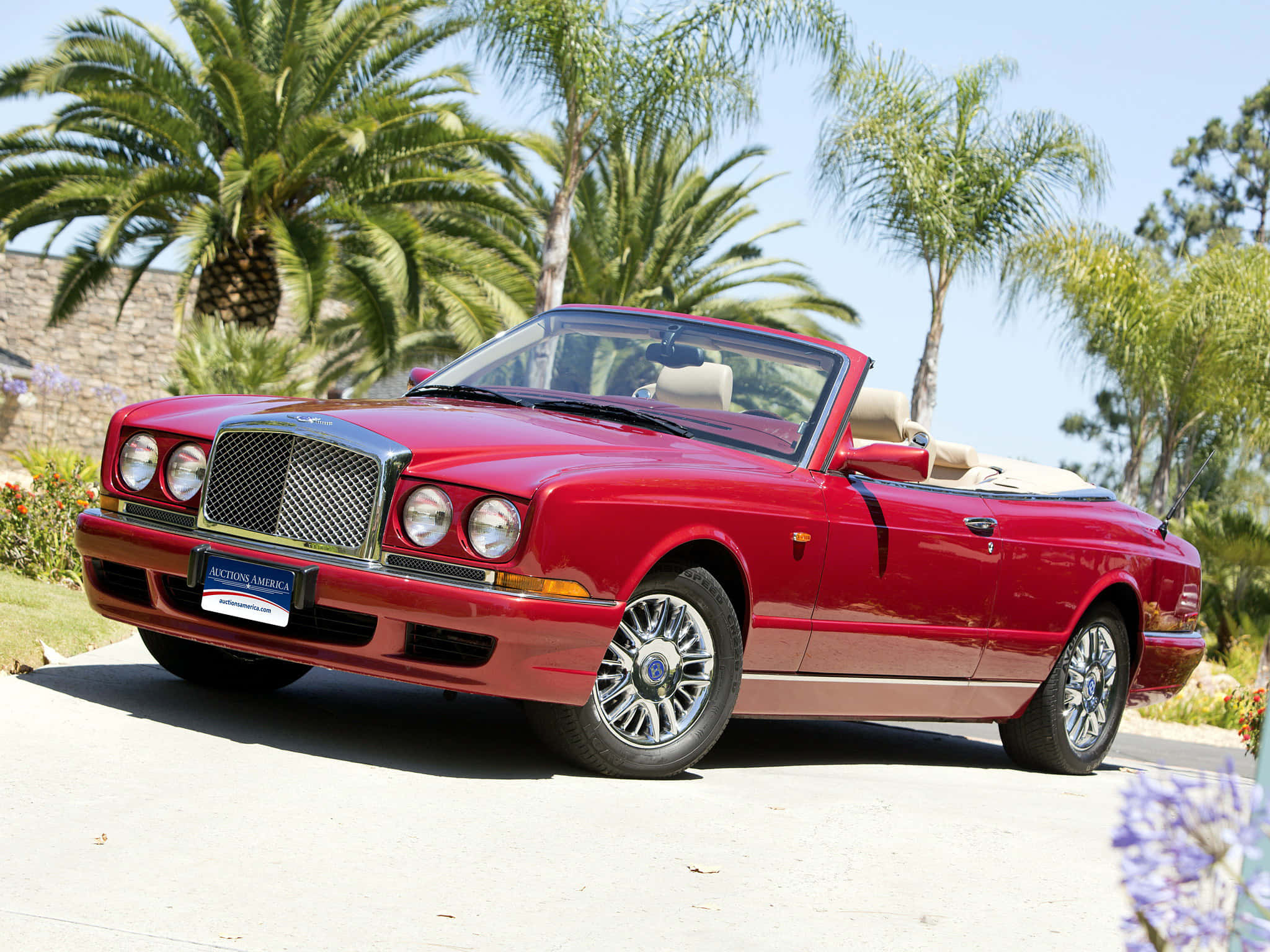 Bentley Azure 桌布 壁紙 — 一輛亮紅色賓利敞篷車停泊在陽光普照的車道上，周圍環繞著棕櫚樹和鮮豔的花朵。