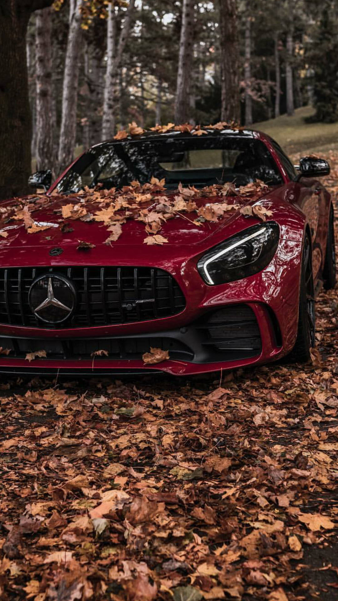 mercedes amg iPhone 桌布 壁紙 — 一輛亮紅色跑車停在森林中，引擎蓋和地面上散落著秋天的落葉。