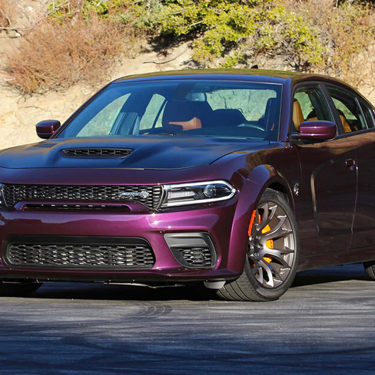 Dodge 桌布 壁紙 — 一輛亮紫色的Dodge Charger Hellcat停在有輪胎痕的瀝青路上，在明亮的日光下。