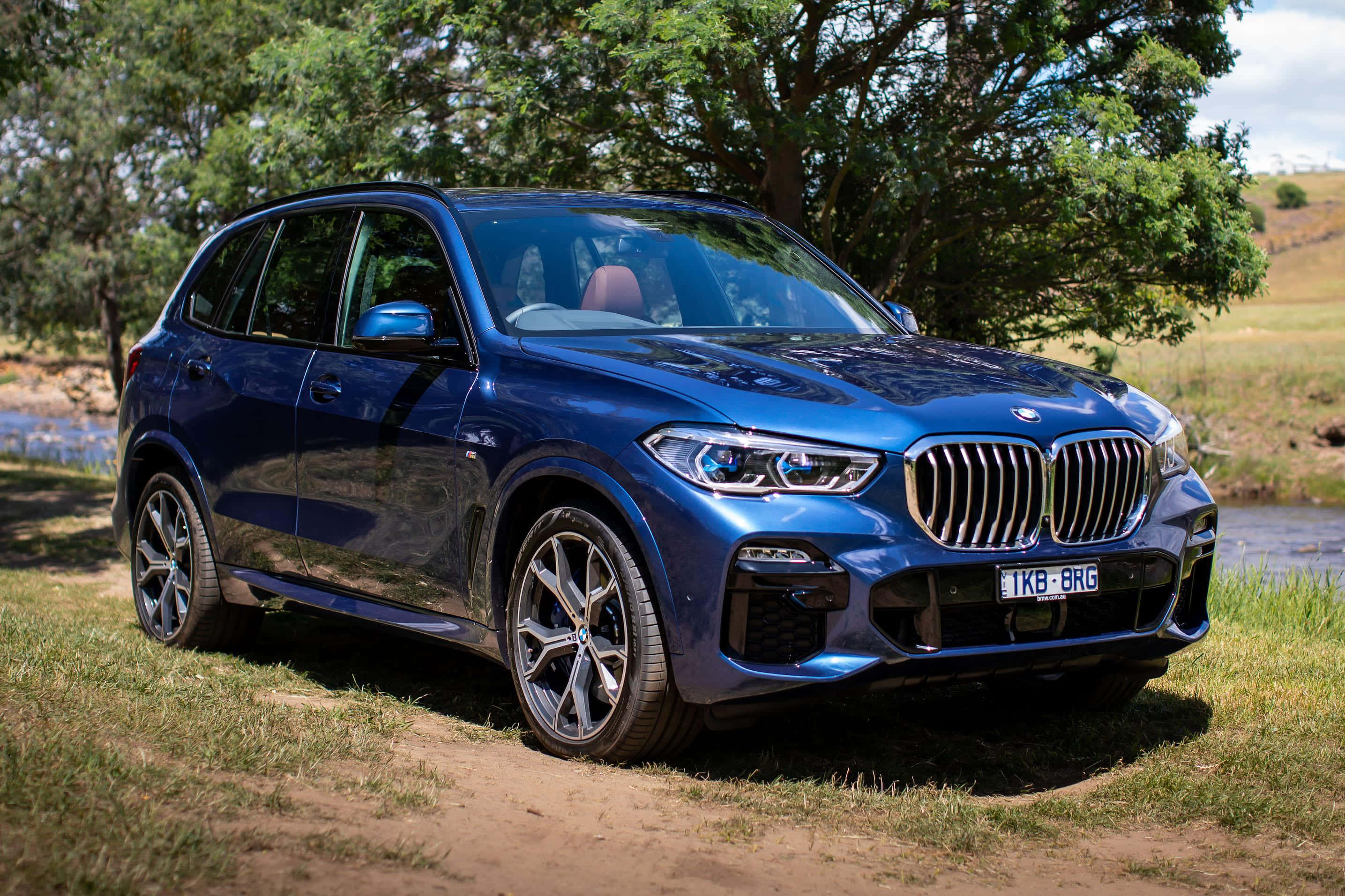 Bmw X5 桌布 壁紙 — 一輛亮藍色BMW X5 SUV停放在河邊草地上，背景有樹木，光線明亮。