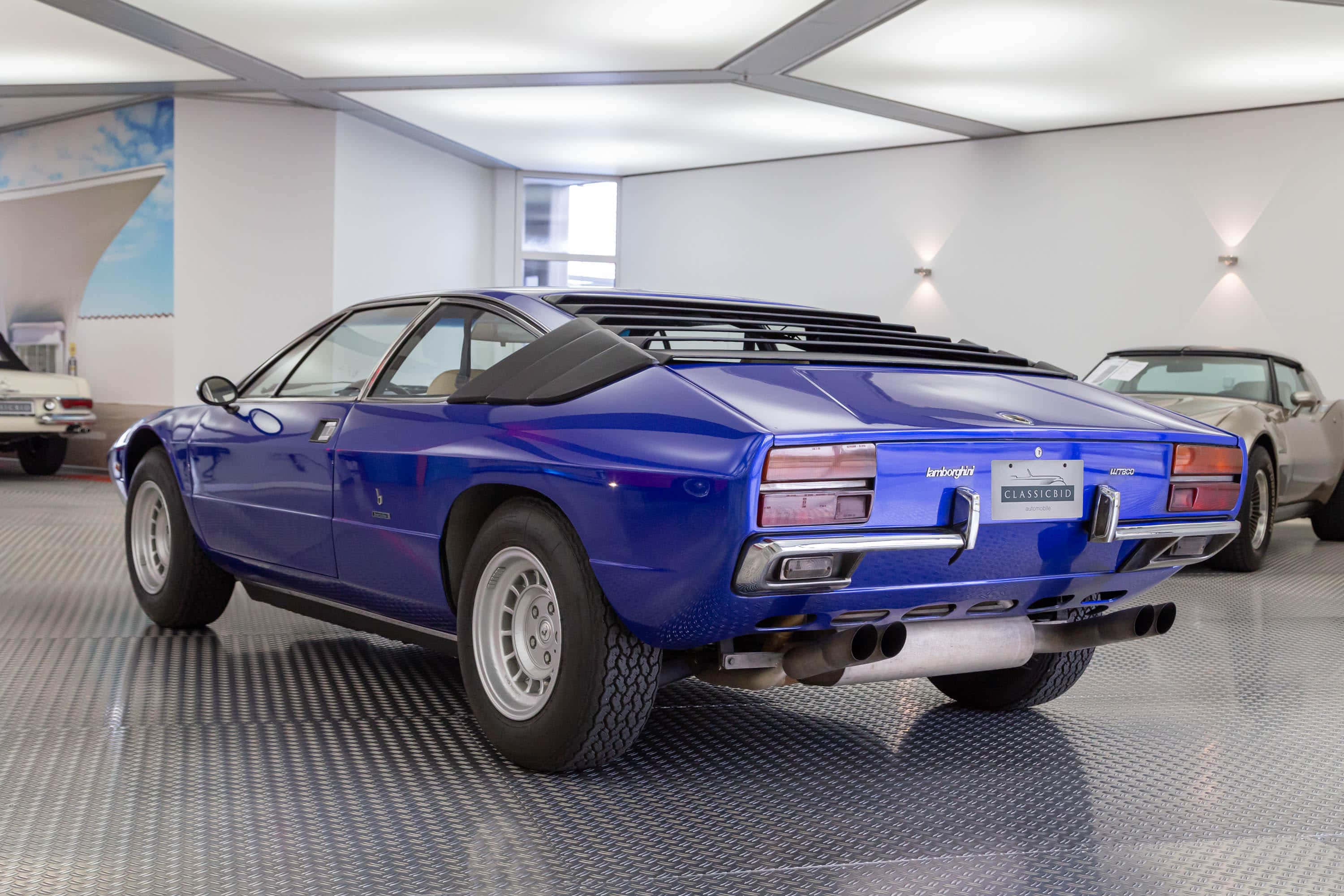 Lamborghini Urraco 桌布 壁紙 — 一輛亮藍色藍寶堅尼Jalpa跑車在明亮現代、地板反光的車庫中從後方展示。