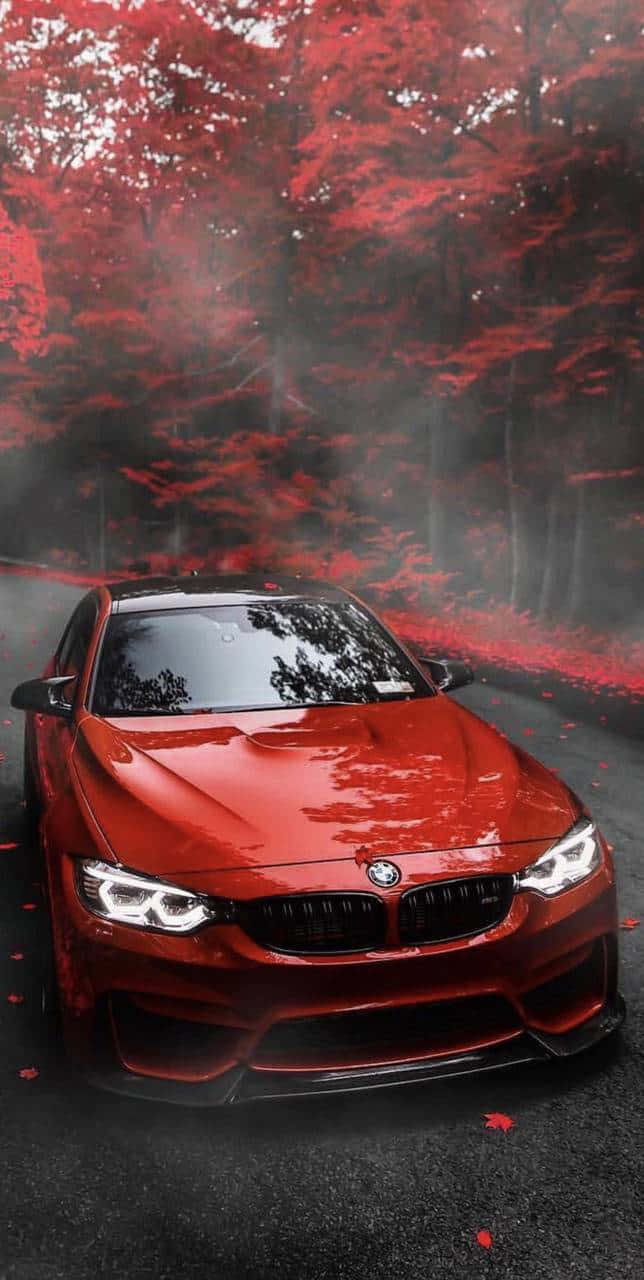 桌布 壁紙 — 一輛亮面紅色BMW跑車在霧氣朦朧的光線下，於被鮮豔深紅色秋樹環繞的林間道路上閃閃發光。