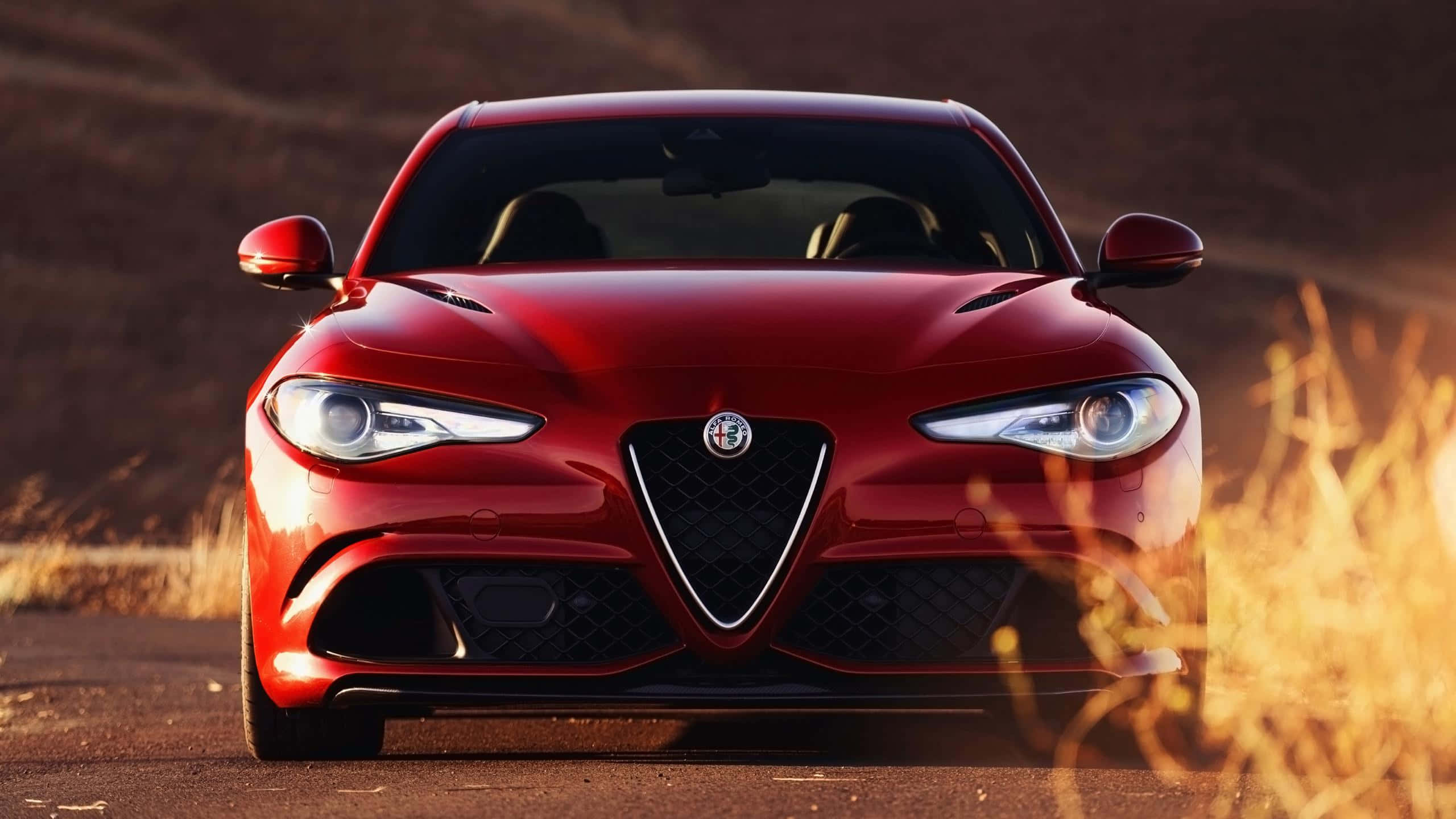 Alfa Romeo Giulia 桌布 壁紙 — 一輛亮面紅色愛快羅密歐跑車在塵土飛揚的道路上向前行駛，前景有金色草叢模糊。