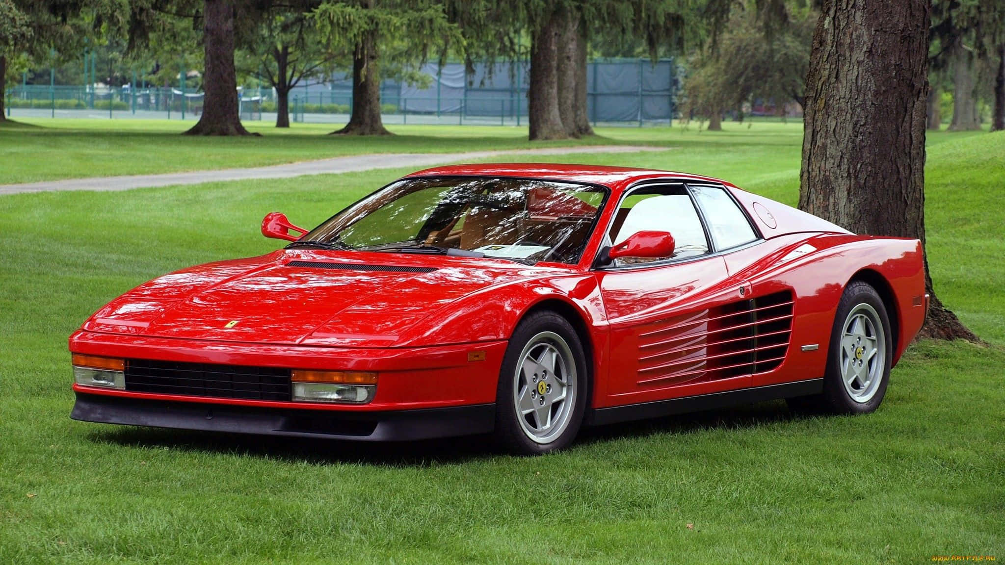Ferrari Testarossa 桌布 壁紙 — 一輛亮麗的紅色法拉利 Testarossa 停放在公園樹旁茂密的綠草地上。