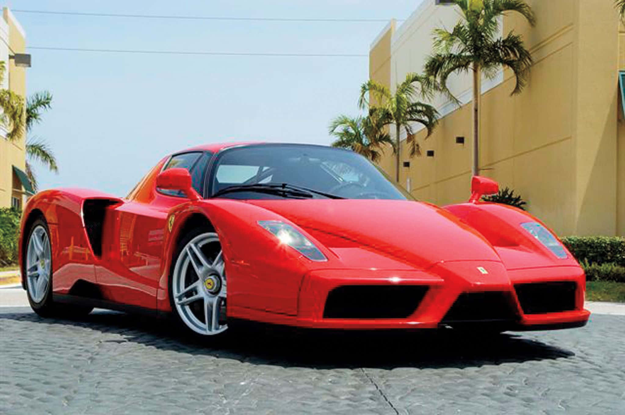Ferrari Enzo 桌布 壁紙 — 一輛亮麗的紅色法拉利Enzo跑車停泊在鵝卵石街道上，兩旁有棕櫚樹和米色建築，天空清澈湛藍。