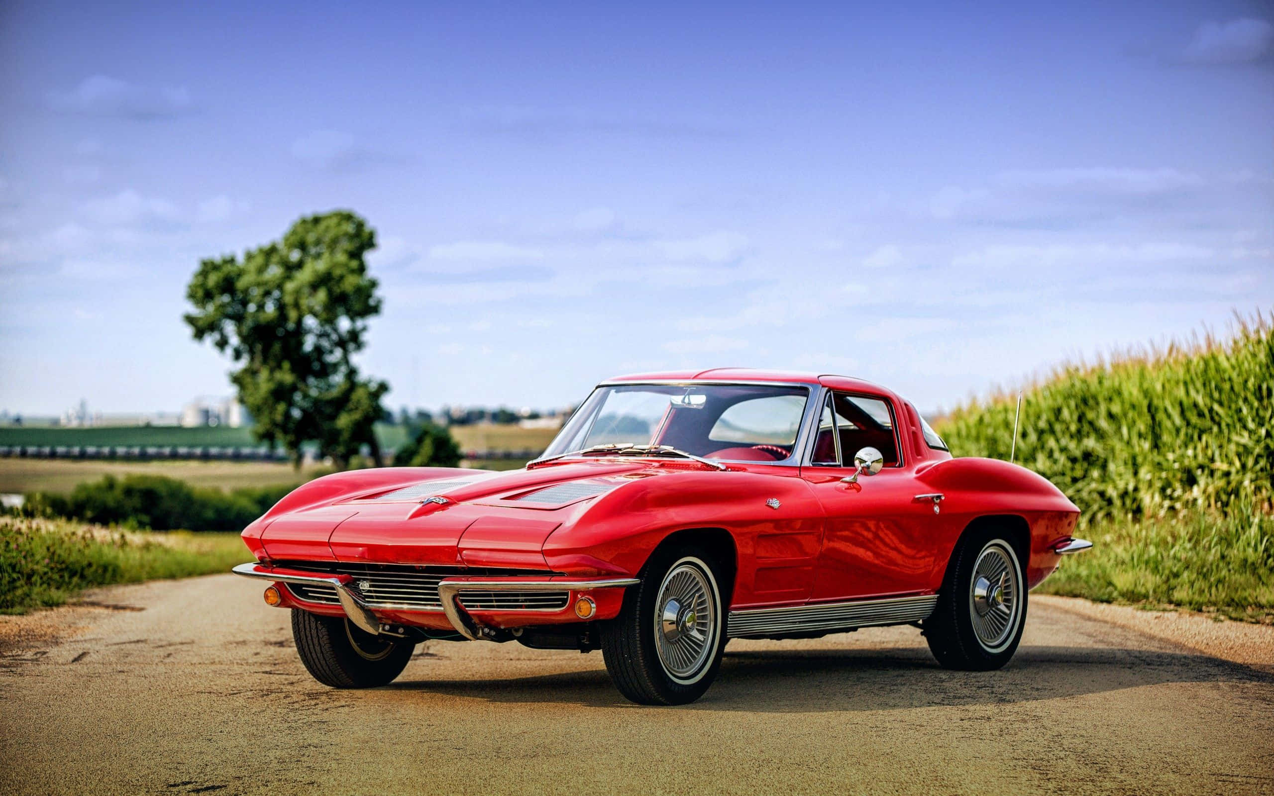 classic 桌布 壁紙 — 一輛亮麗的紅色經典Corvette跑車停泊在鄉村道路上，旁邊是高大的綠色玉米田，上方是明亮的藍天。