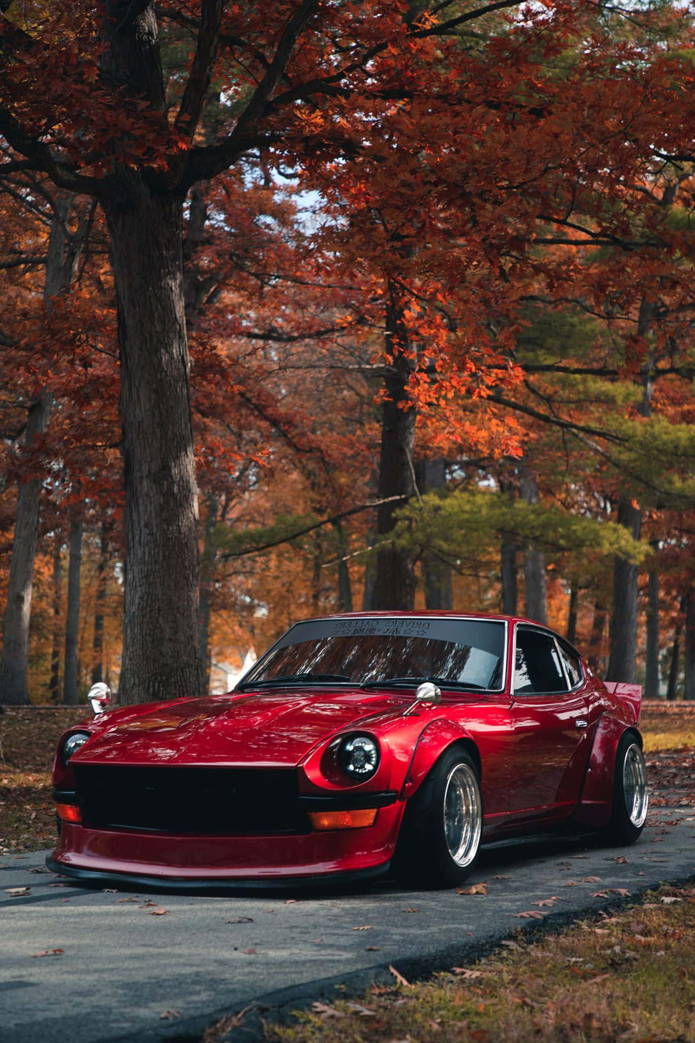 Datsun 桌布 壁紙 — 一輛亮麗的紅色經典跑車停泊在森林道路上，上方是鮮豔的橙色秋樹。