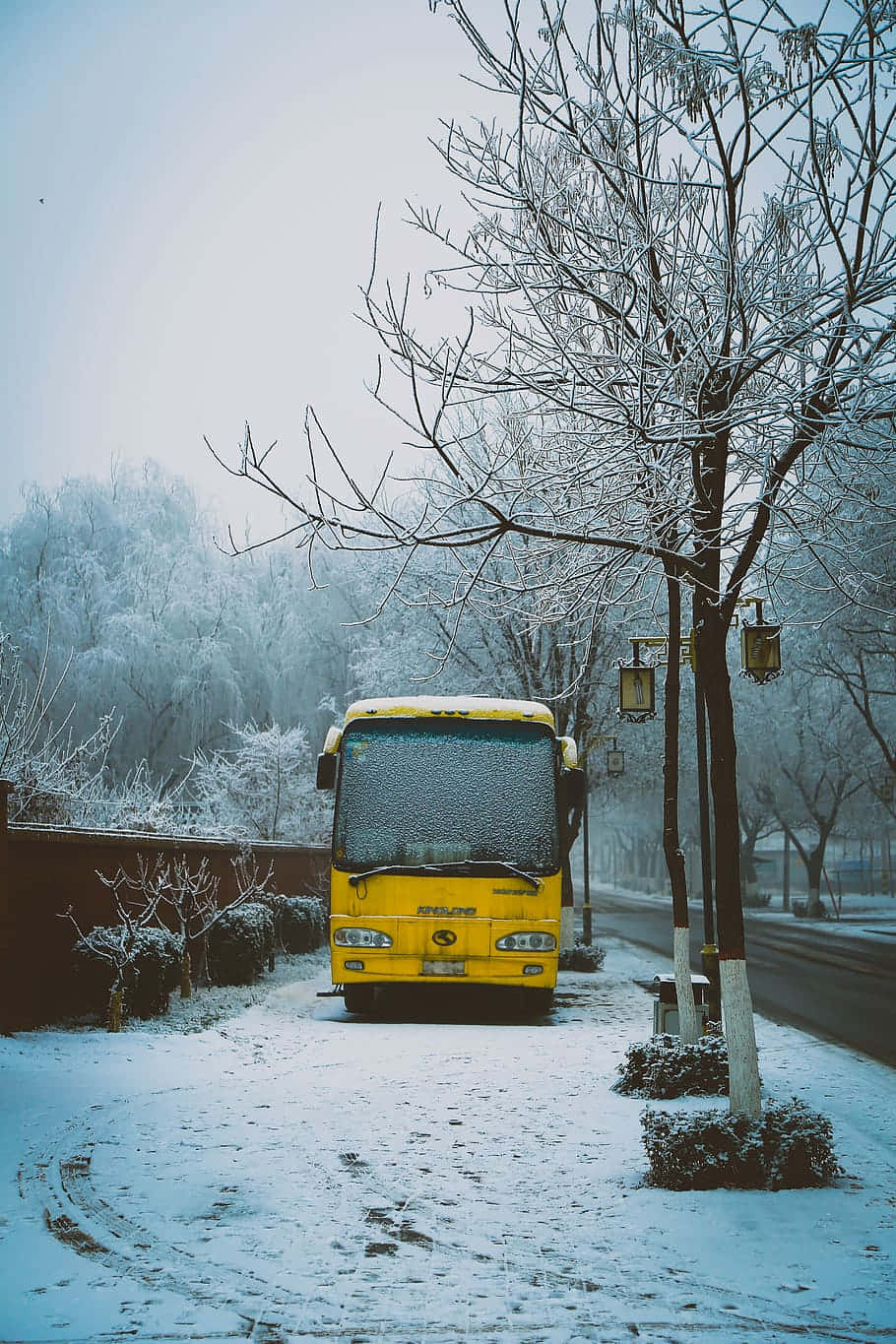 Yellow School Bus 桌布 壁紙 — 一輛亮黃色巴士停泊在積雪街道上，兩旁是結霜的禿樹，蒼白的冬日天空下。