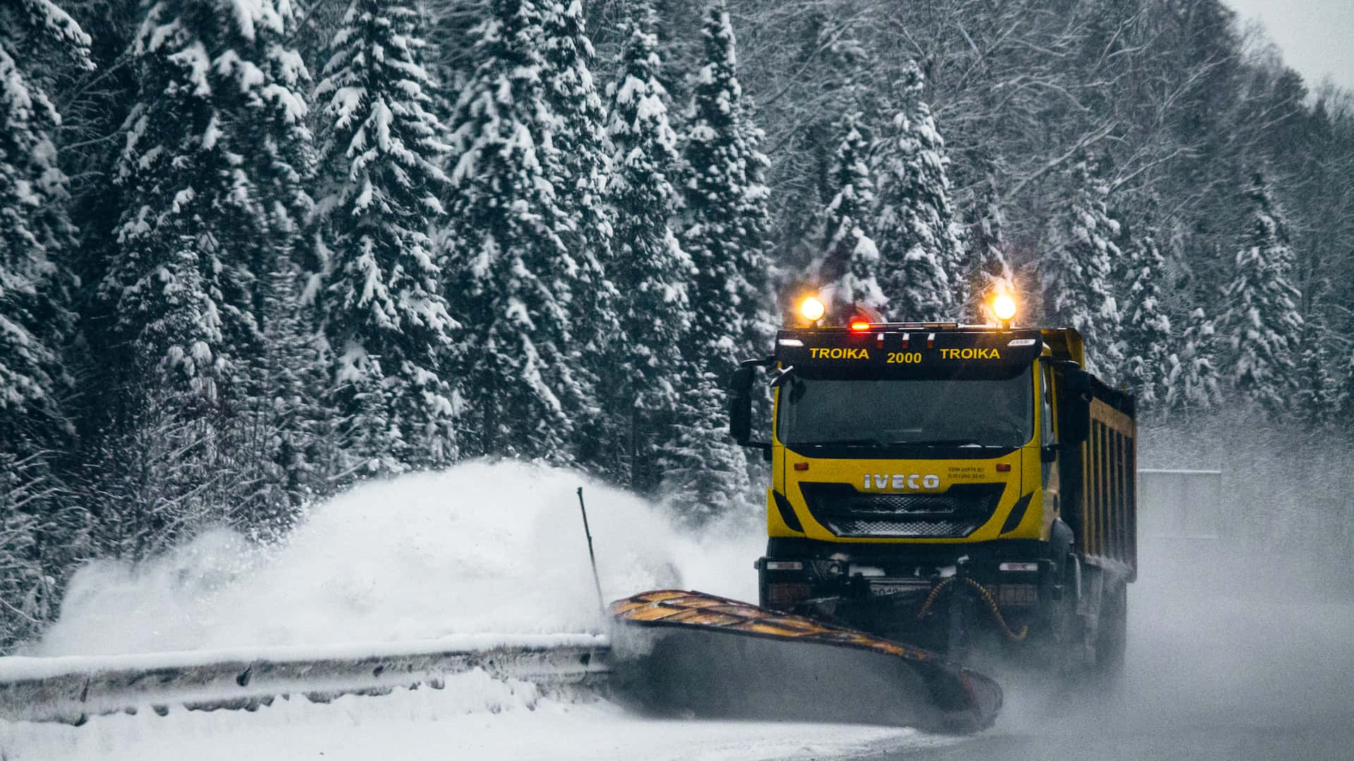 Snowplow 桌布 壁紙 — 一輛亮黃色的掃雪車正在清除穿過茂密雪松林的積雪道路。