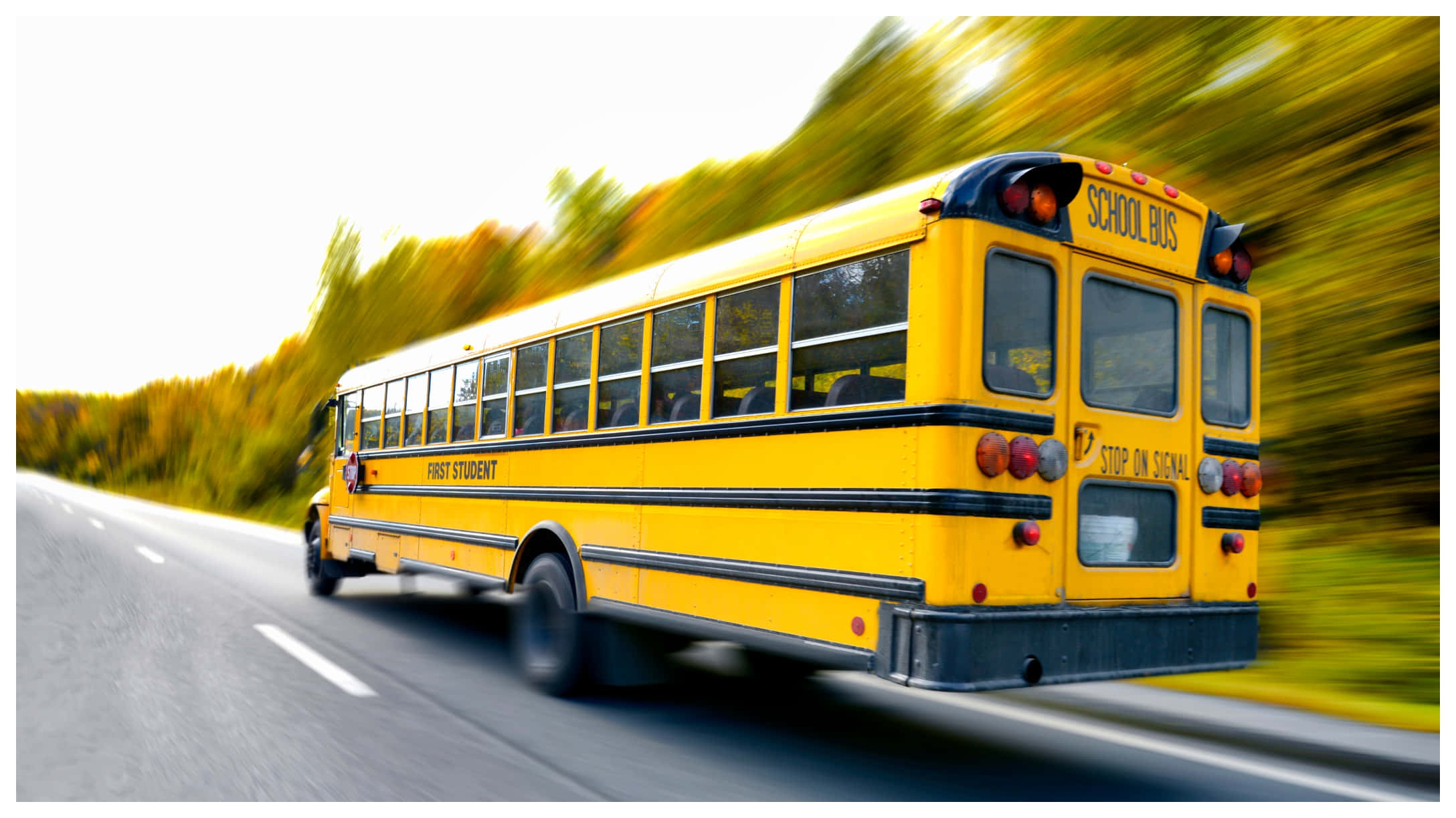 Yellow School Bus 桌布 壁紙 — 一輛亮黃色的校車在道路上疾馳，秋天的樹木在運動中模糊掠過。