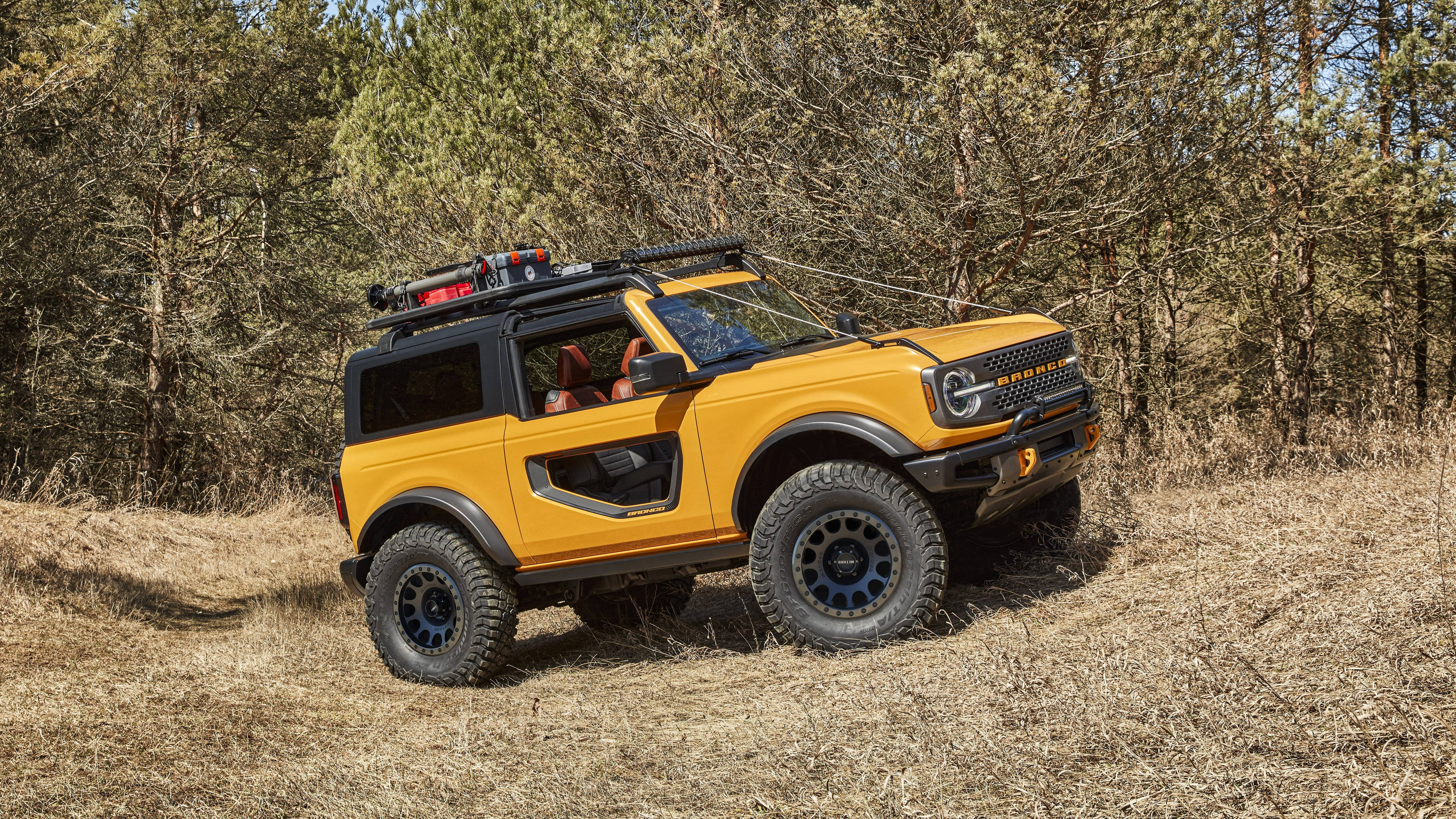 Ford Bronco 桌布 壁紙 — 一輛亮黃色的福特Bronco，帶有黑色飾邊和車頂行李架，停放在陽光明媚的松樹林中的乾草地上。