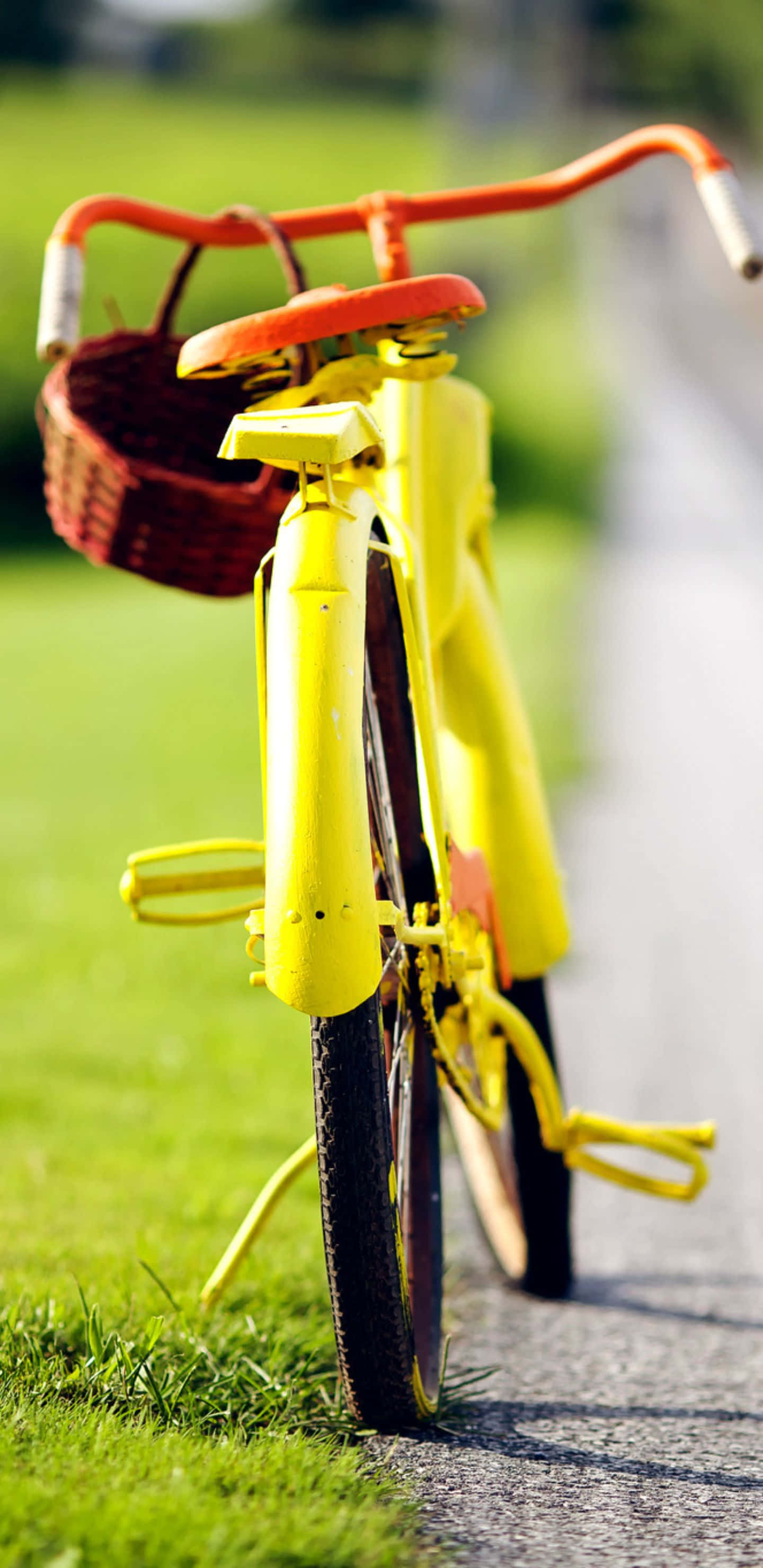 Pixel 3xl Bikes 桌布 壁紙 — 一輛亮黃色的自行車，配有橙色把手和紅色籃子，停在陽光明媚的白天裡一條鋪砌小徑旁的草地上。