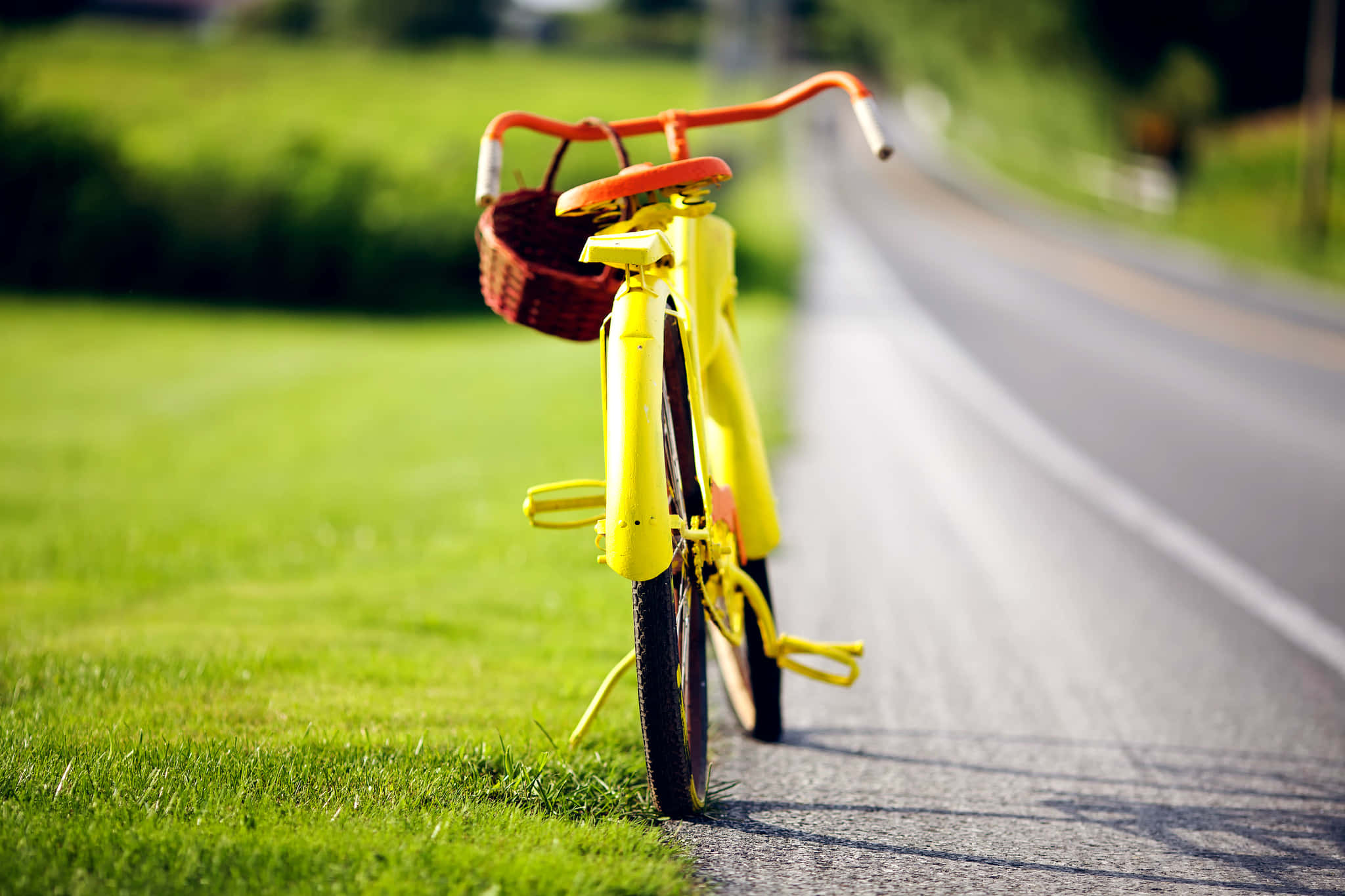 Bicycle 桌布 壁紙 — 一輛亮黃色的自行車，配有紅色把手和籃子，停放在陽光明媚的寧靜路邊草地上。