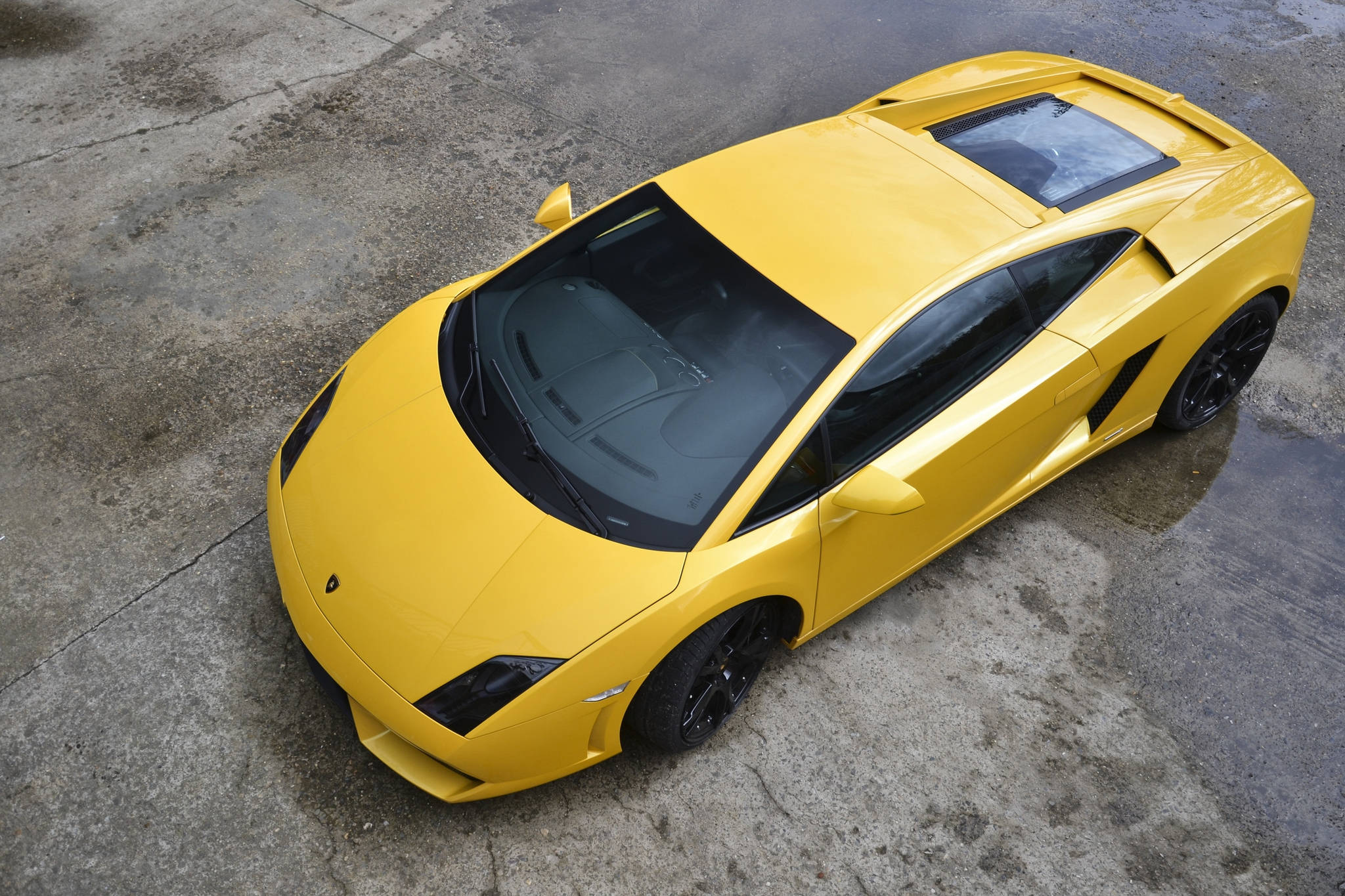 the yellow 桌布 壁紙 — 一輛亮黃色的藍寶堅尼Gallardo跑車在日光下停泊在濕混凝土表面上。