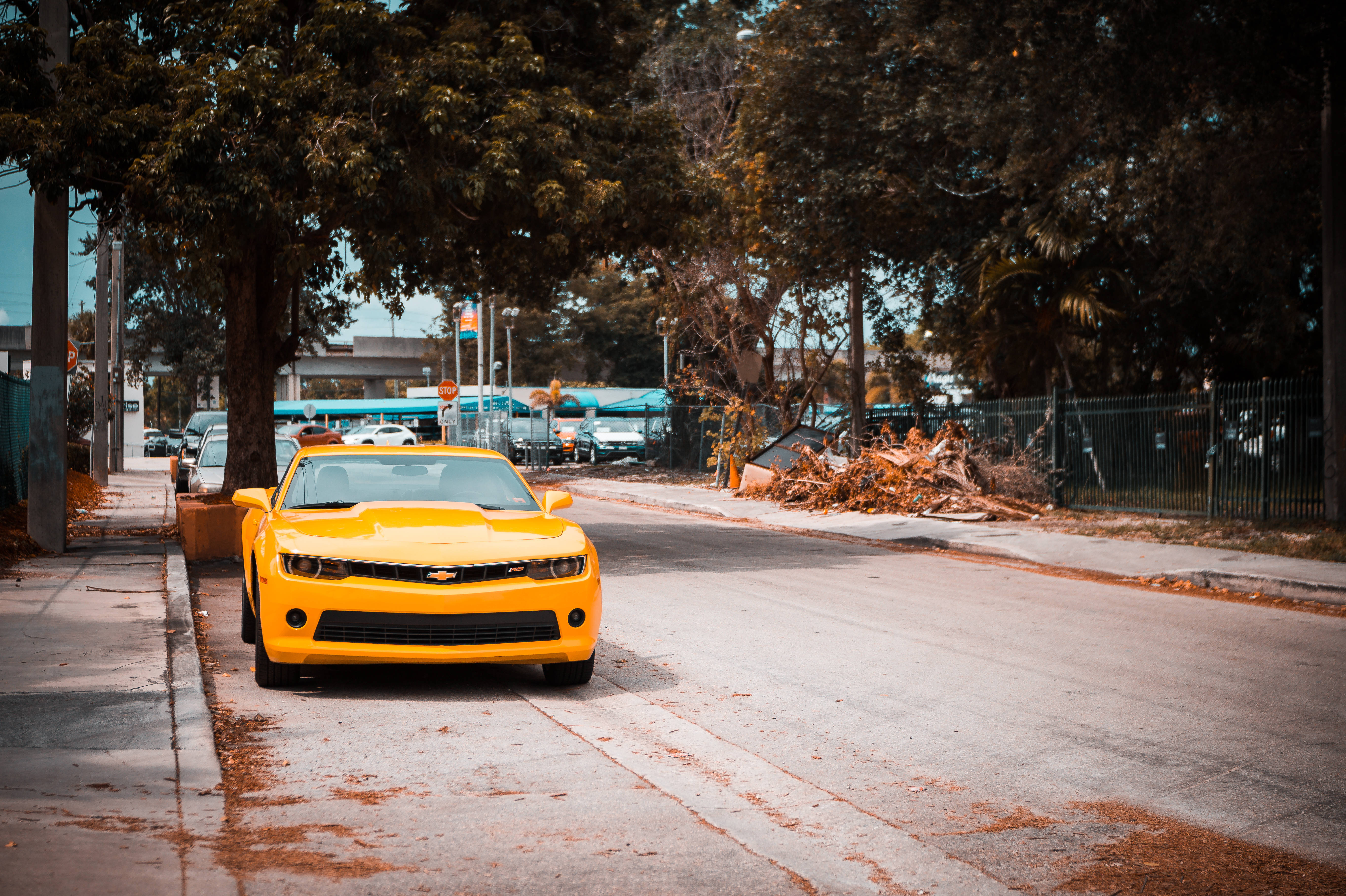Chevrolet 桌布 壁紙 — 一輛亮黃色的雪佛蘭Camaro停泊在樹蔭街道上，有落葉和城市背景。