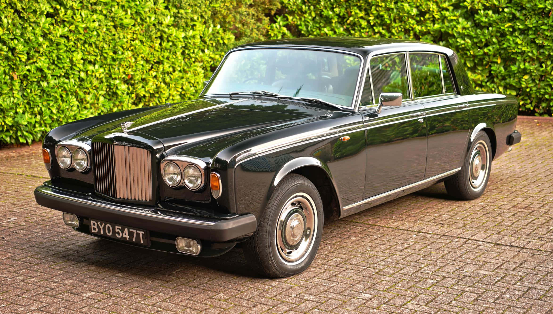 Bentley T2 桌布 壁紙 — 一輛亮黑色勞斯萊斯銀影在日光下閃耀，停泊在磚砌車道上，旁邊是茂密的綠色籬笆。