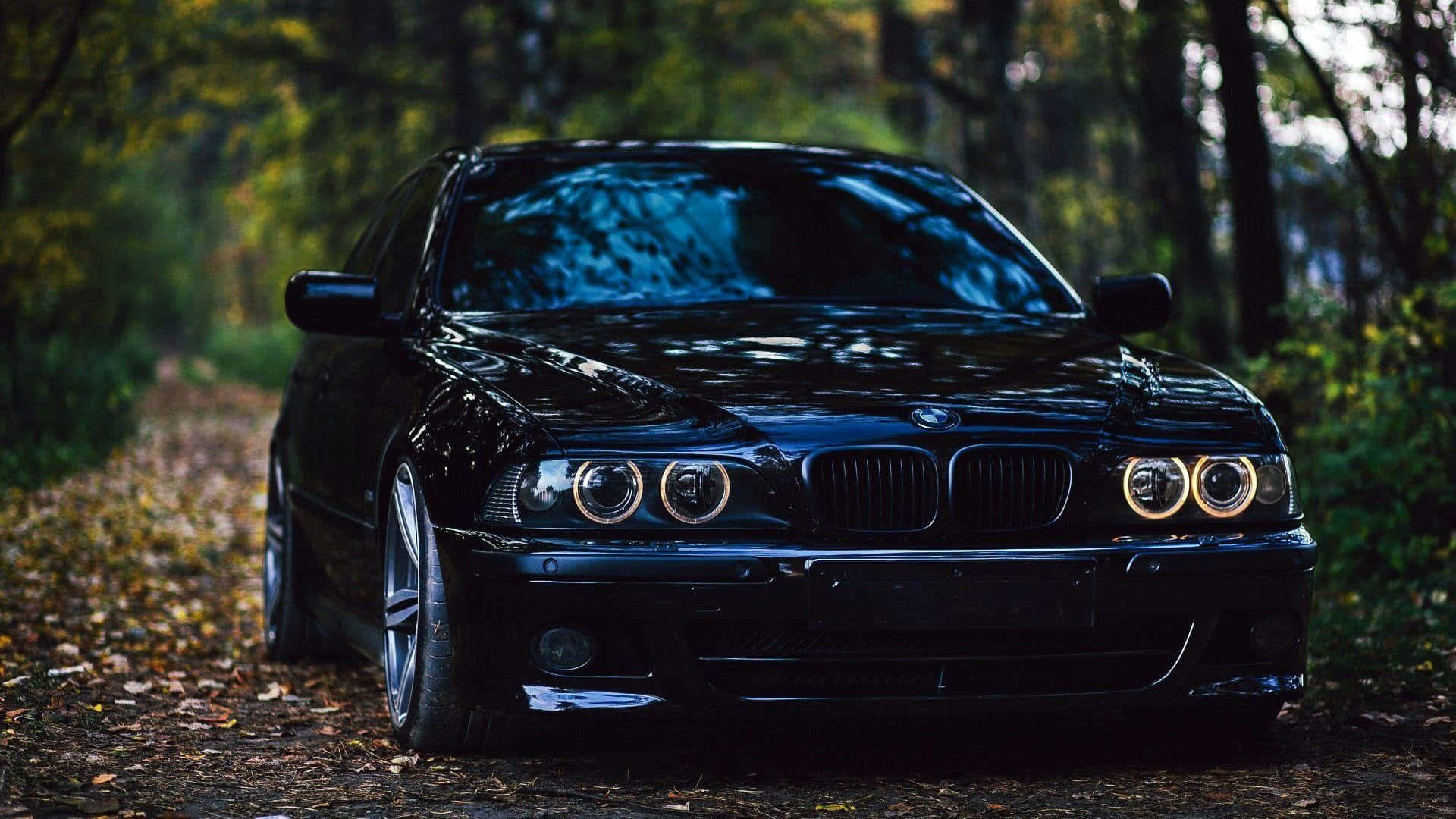 1920x1080 Bmw 桌布 壁紙 — 一輛亮黑色寶馬轎車，車頭燈閃爍，停在落葉鋪滿的林間小徑上，陽光斑駁。