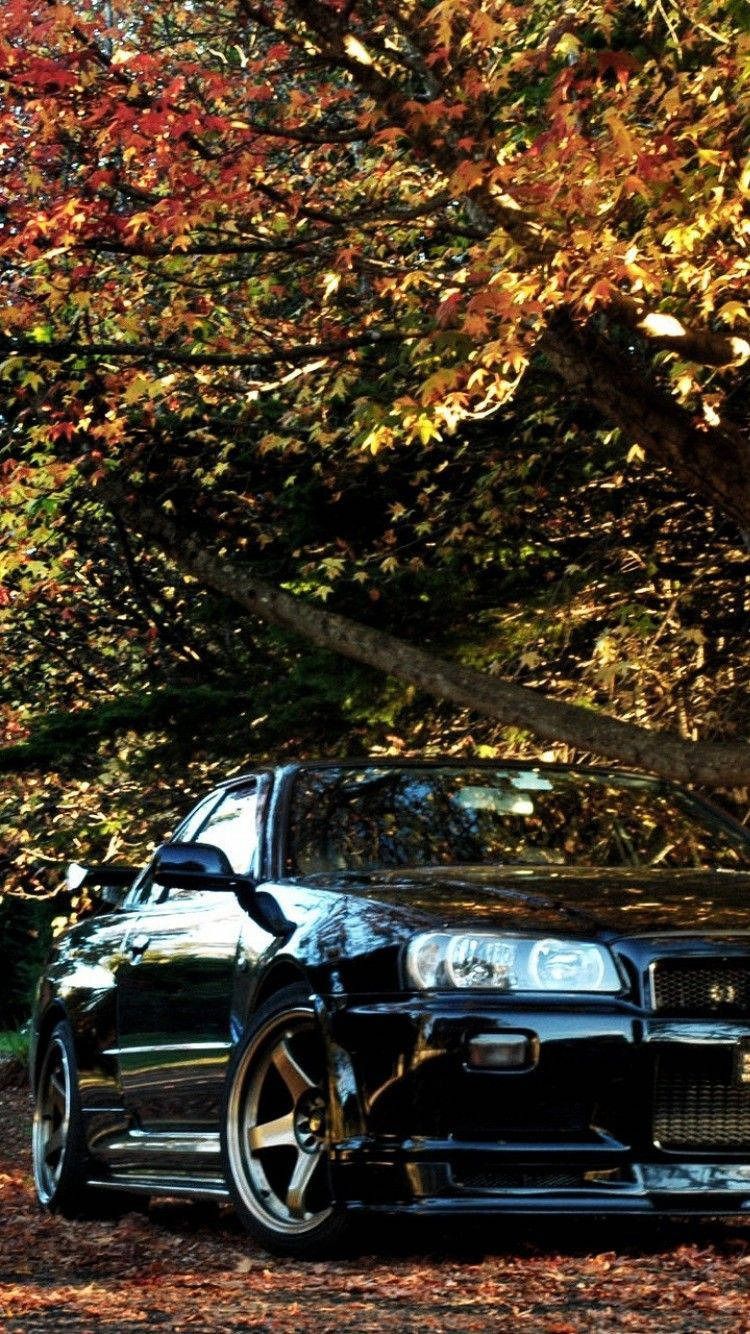 黑色跑車停泊在秋樹下，樹葉金黃。 — 4K Jdm 壁紙