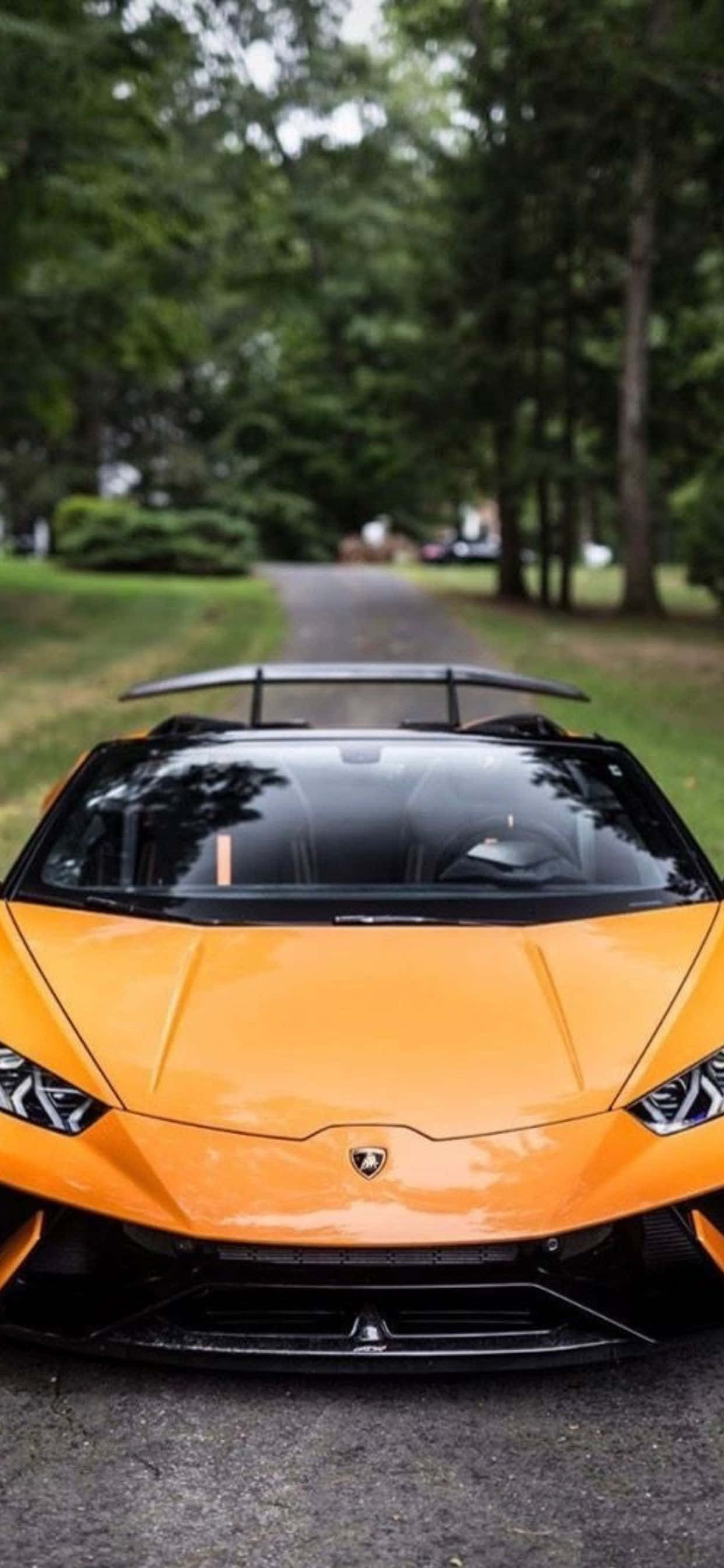 Lamborghini Phone 桌布 壁紙 — 一輛充滿活力的橘色藍寶堅尼跑車停泊在綠樹成蔭的道路上，背景是茂密的綠色植物。