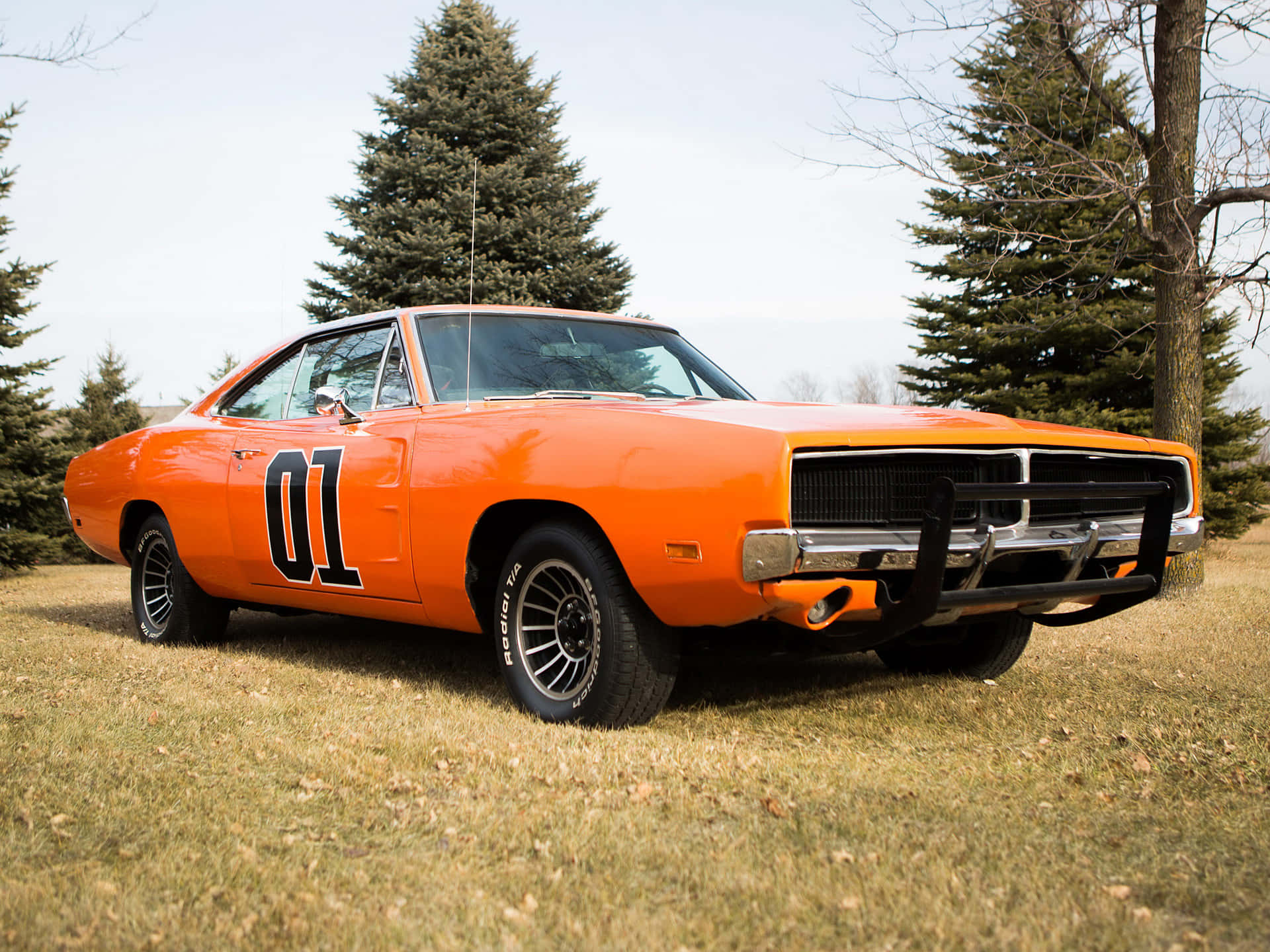 General Lee 車 桌布 壁紙 — 一輛充滿活力的橙色1970年道奇Charger，側面有黑色數字01，停在常綠樹附近的草地上。