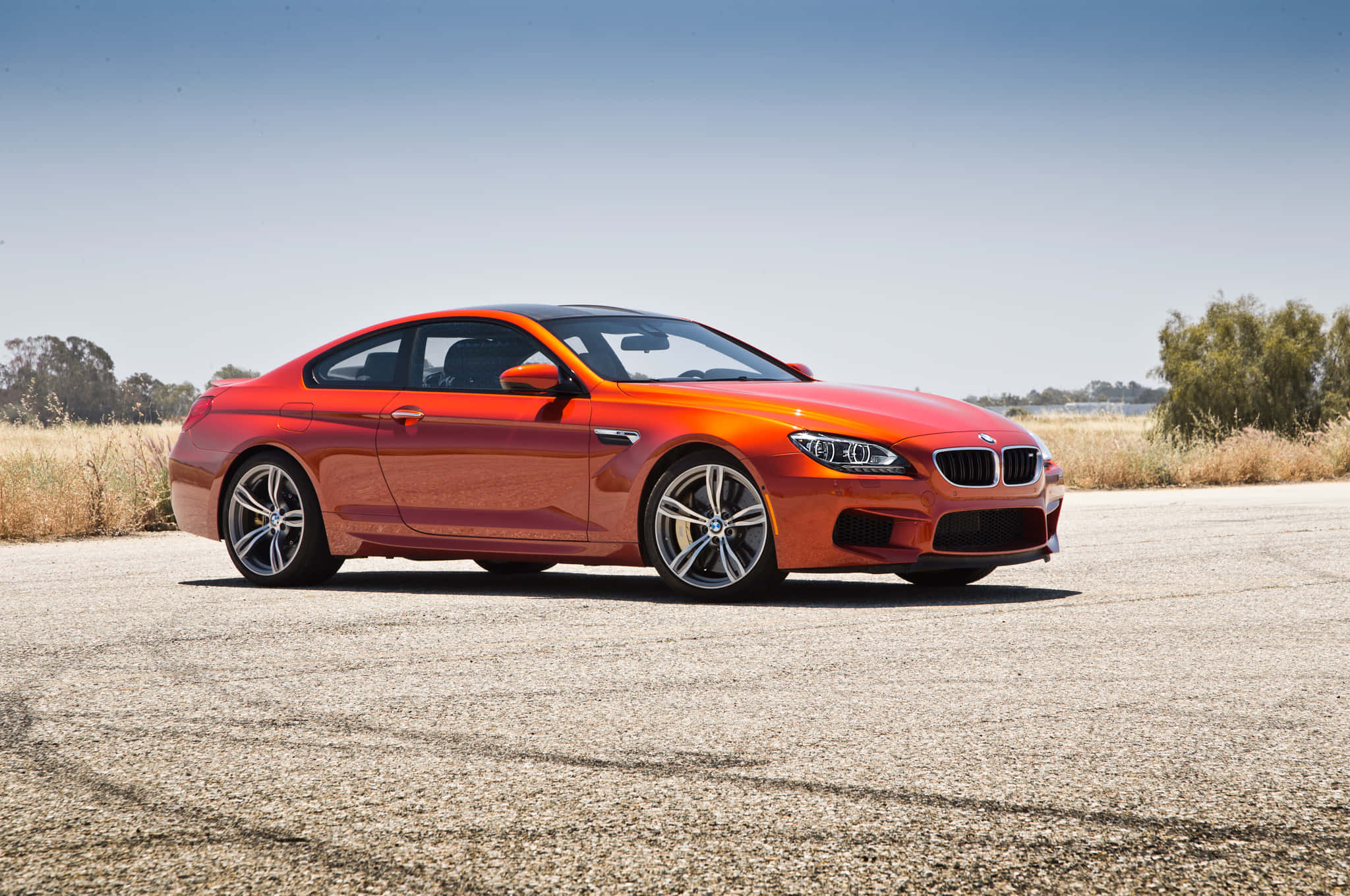 Bmw M6 桌布 壁紙 — 一輛充滿活力的橙色BMW M6轎跑車在陽光明媚的碎石路上閃閃發光，背景是乾草和樹木。