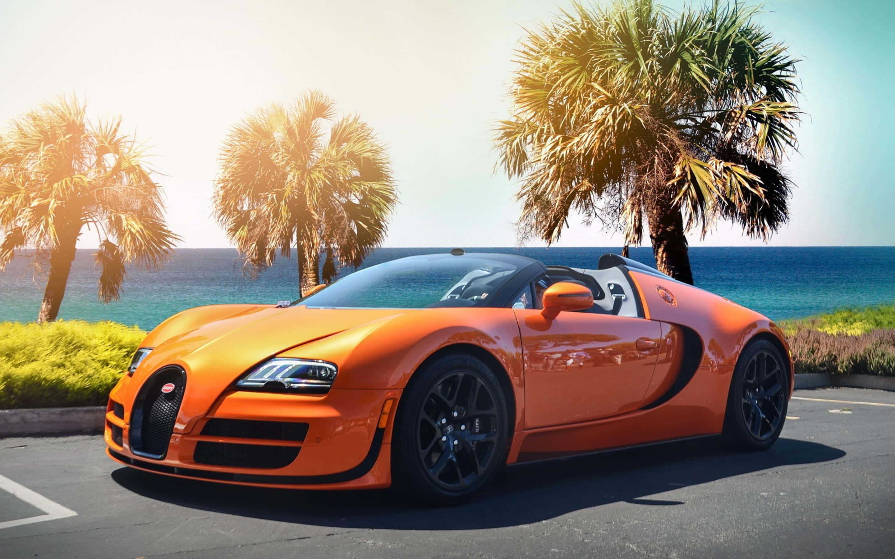 桌布 壁紙 — 一輛充滿活力的橙色Bugatti Veyron敞篷跑車停泊在陽光明媚的海岸公路上，背景有棕櫚樹和海洋。