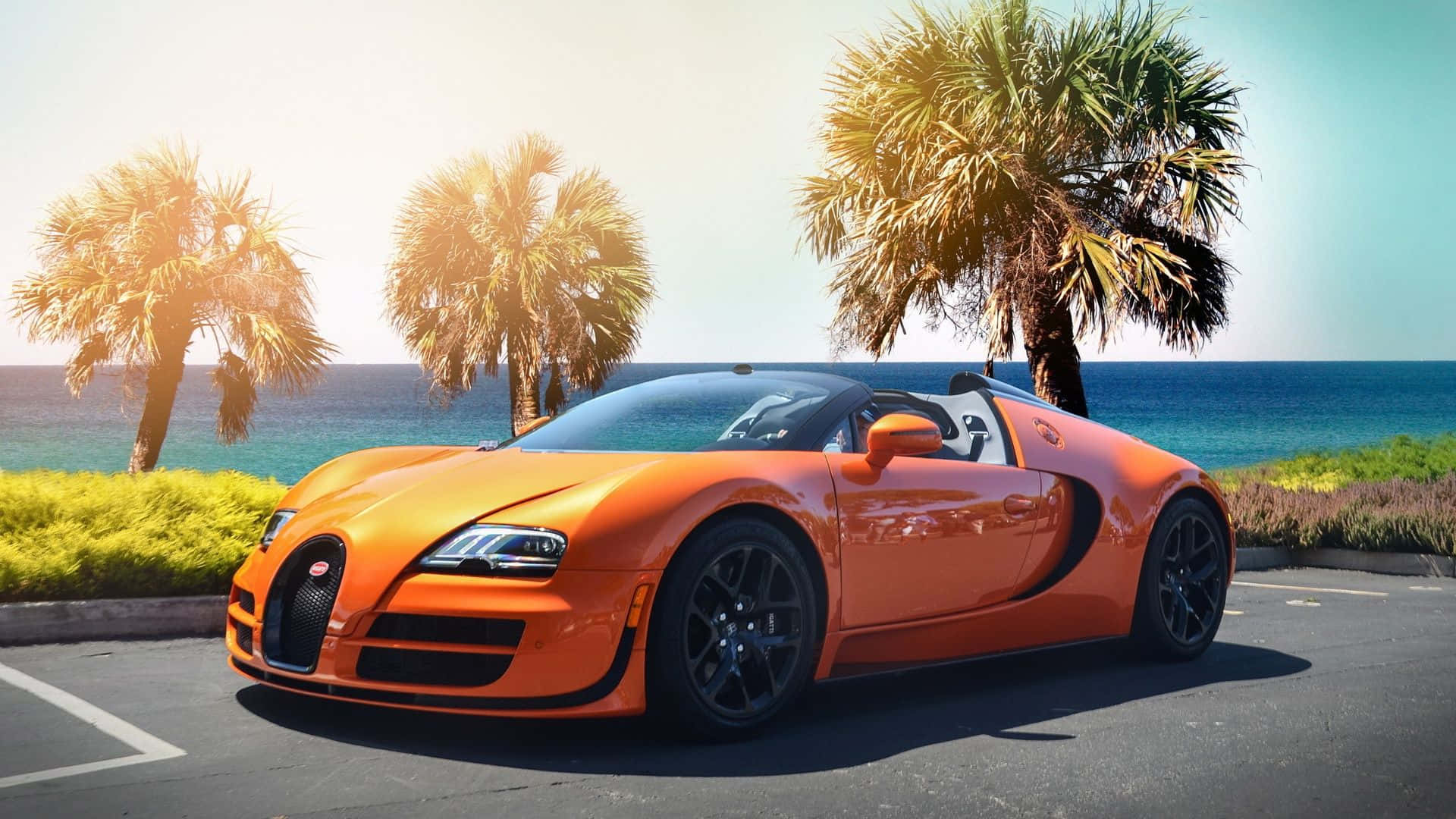 Best Bugatti 桌布 壁紙 — 一輛充滿活力的橙色Bugatti Veyron敞篷跑車停泊在陽光明媚的海岸公路上，背景有棕櫚樹和海洋。