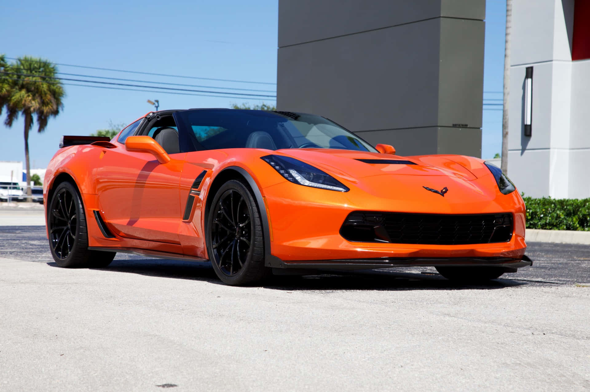 Chevrolet Corvette Grand Sport 桌布 壁紙 — 一輛充滿活力的橙色Corvette跑車，帶有黑色飾邊，停在棕櫚樹附近晴朗藍天下的瀝青路面上。