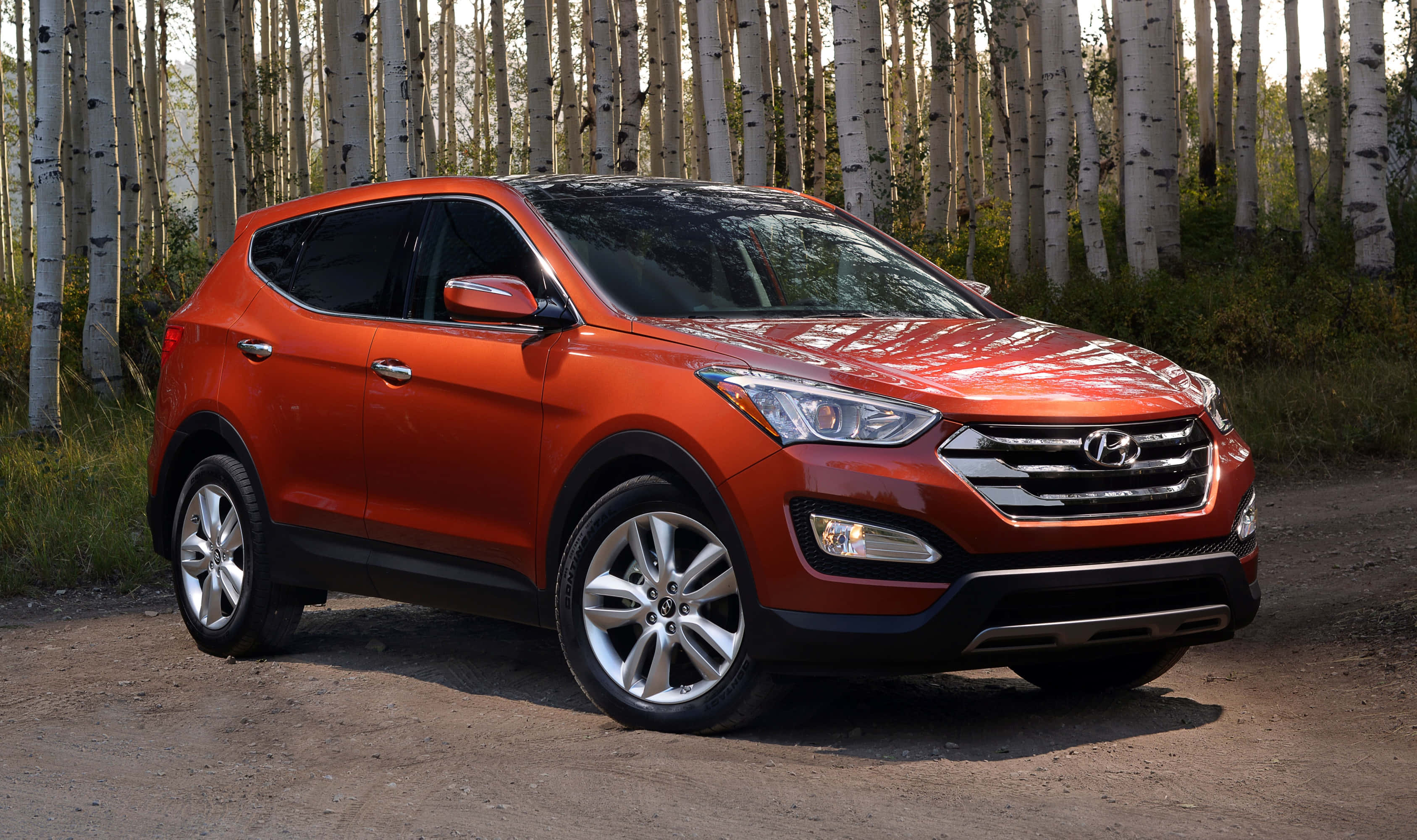 Hyundai 桌布 壁紙 — 一輛充滿活力的橙色Hyundai Santa Fe SUV停泊在一條泥路上，周圍是高高的白樺樹。