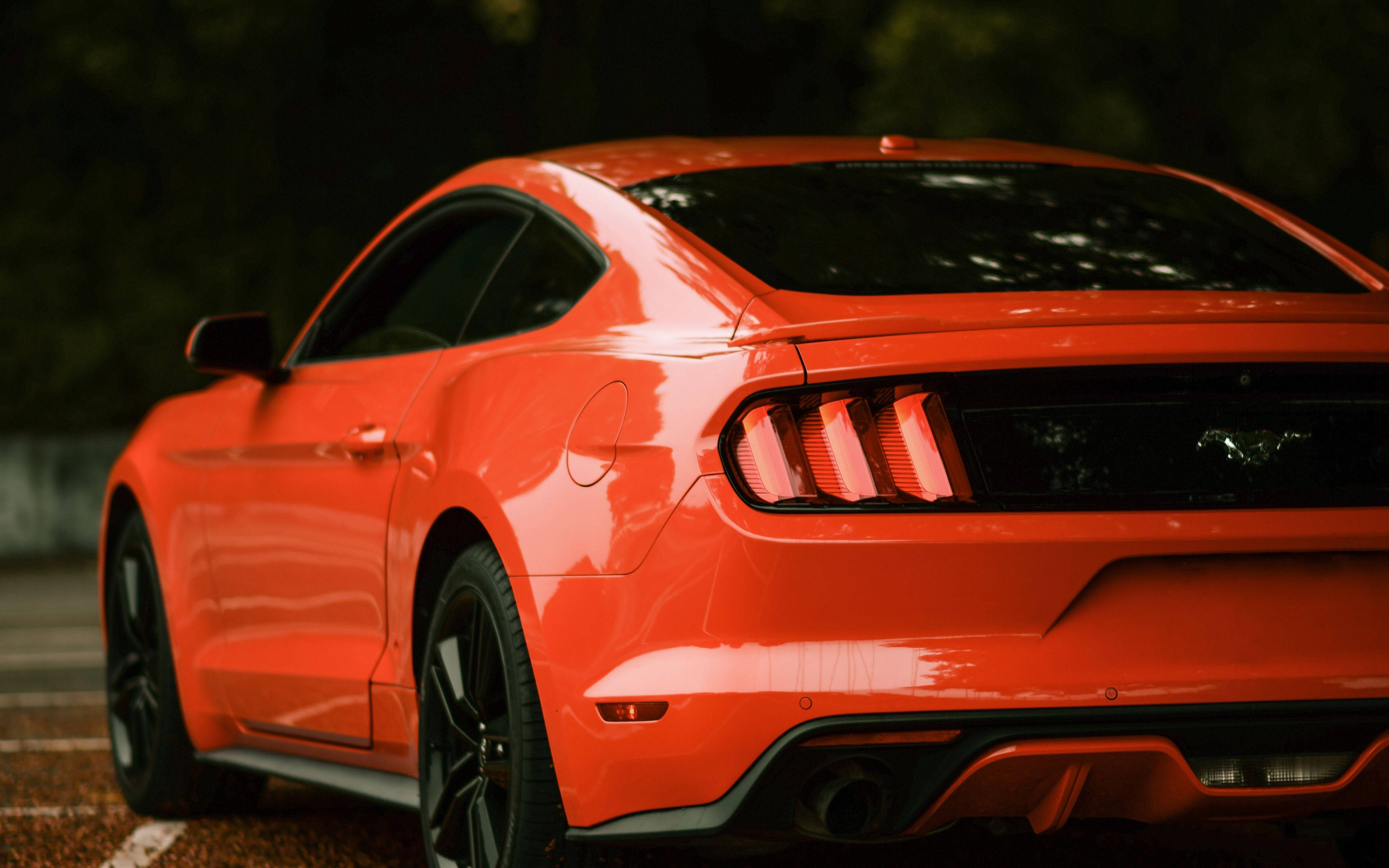 mustang HD 桌布 壁紙 — 一輛充滿活力的橙色Mustang跑車在柔和日光下閃耀，擁有流暢曲線和標誌性尾燈。