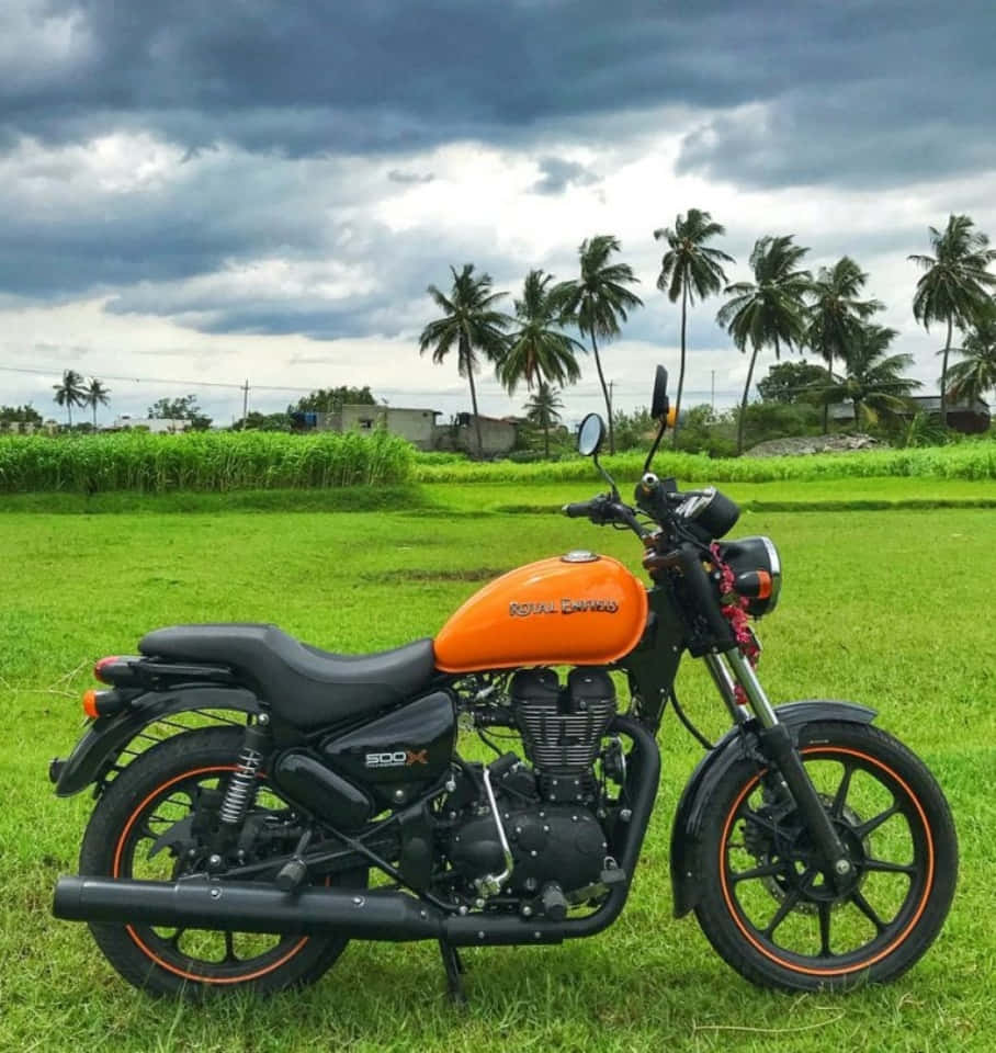 機車 桌布 壁紙 — 一輛充滿活力的橙色Royal Enfield 500X摩托車，在戲劇性的多雲天空下，以棕櫚樹為背景，矗立在茂密的綠色草地上。