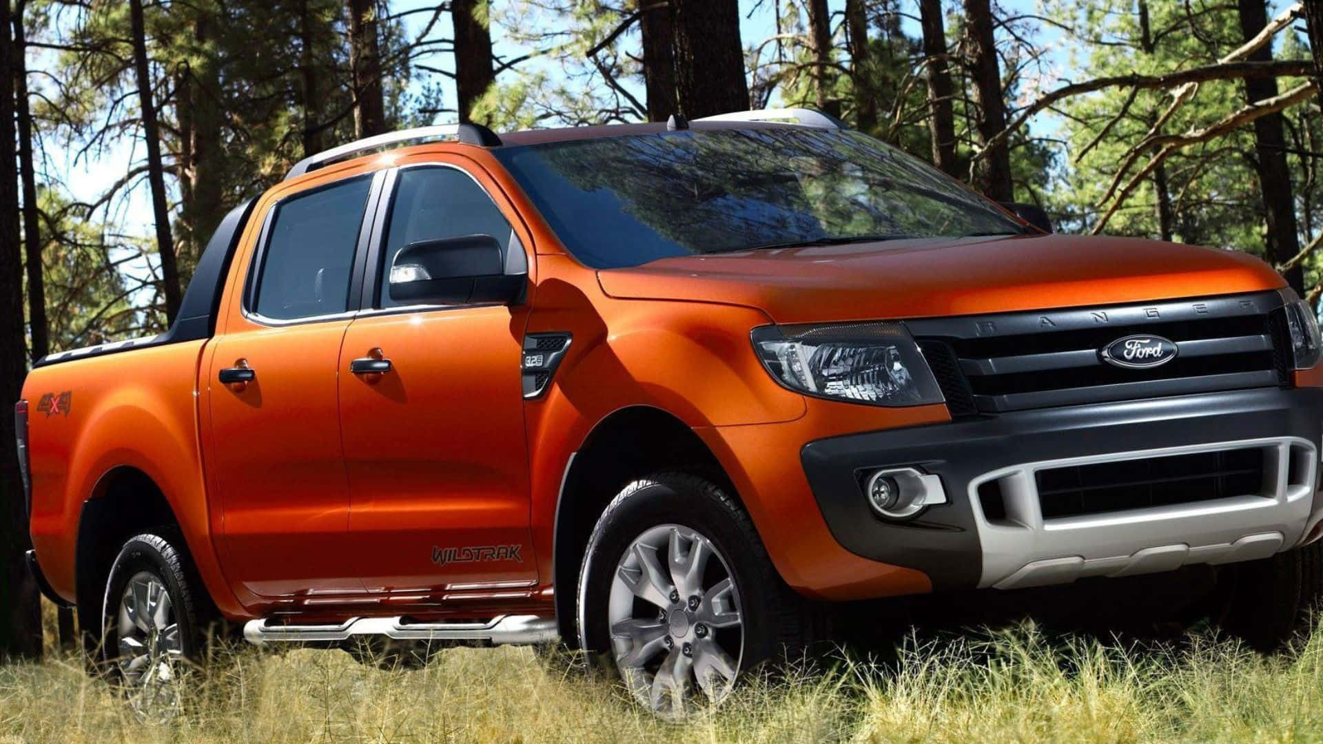 Ford Ranger 桌布 壁紙 — 一輛充滿活力的橙色福特 Ranger Wildtrak 皮卡車停放在陽光明媚的松樹林中，周圍有高高的草。