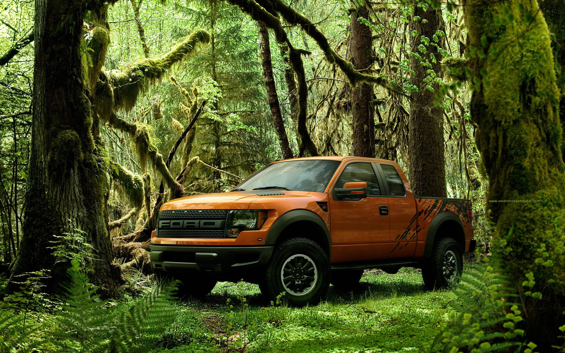 Raptor 桌布 壁紙 — 一輛充滿活力的橙色福特F-150卡車停放在茂密苔蘚覆蓋的森林中，周圍有高聳的樹木和斑駁的陽光。