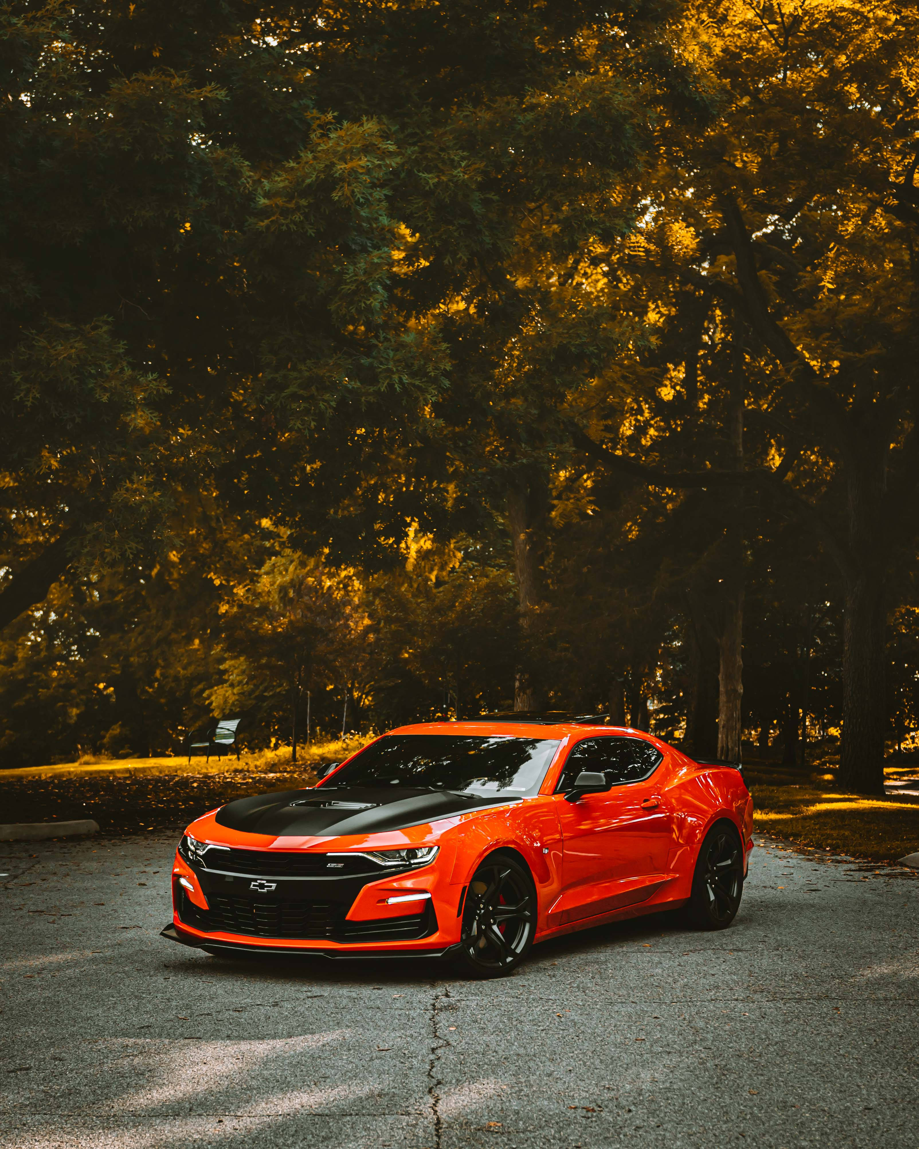 Chevrolet 桌布 壁紙 — 一輛充滿活力的橙色雪佛蘭Camaro，帶有黑色點綴，停泊在樹木成蔭的瀝青路上，沐浴在金色的午後陽光中。